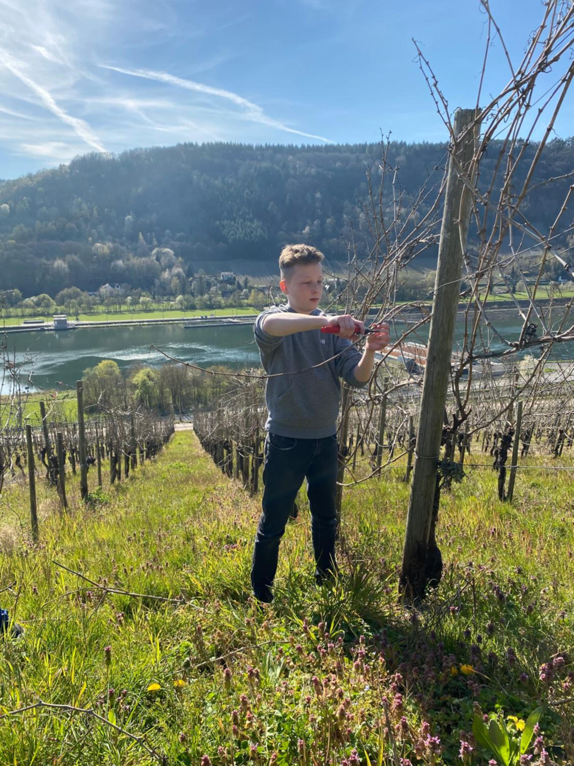 Landgasthof Zur Sonne