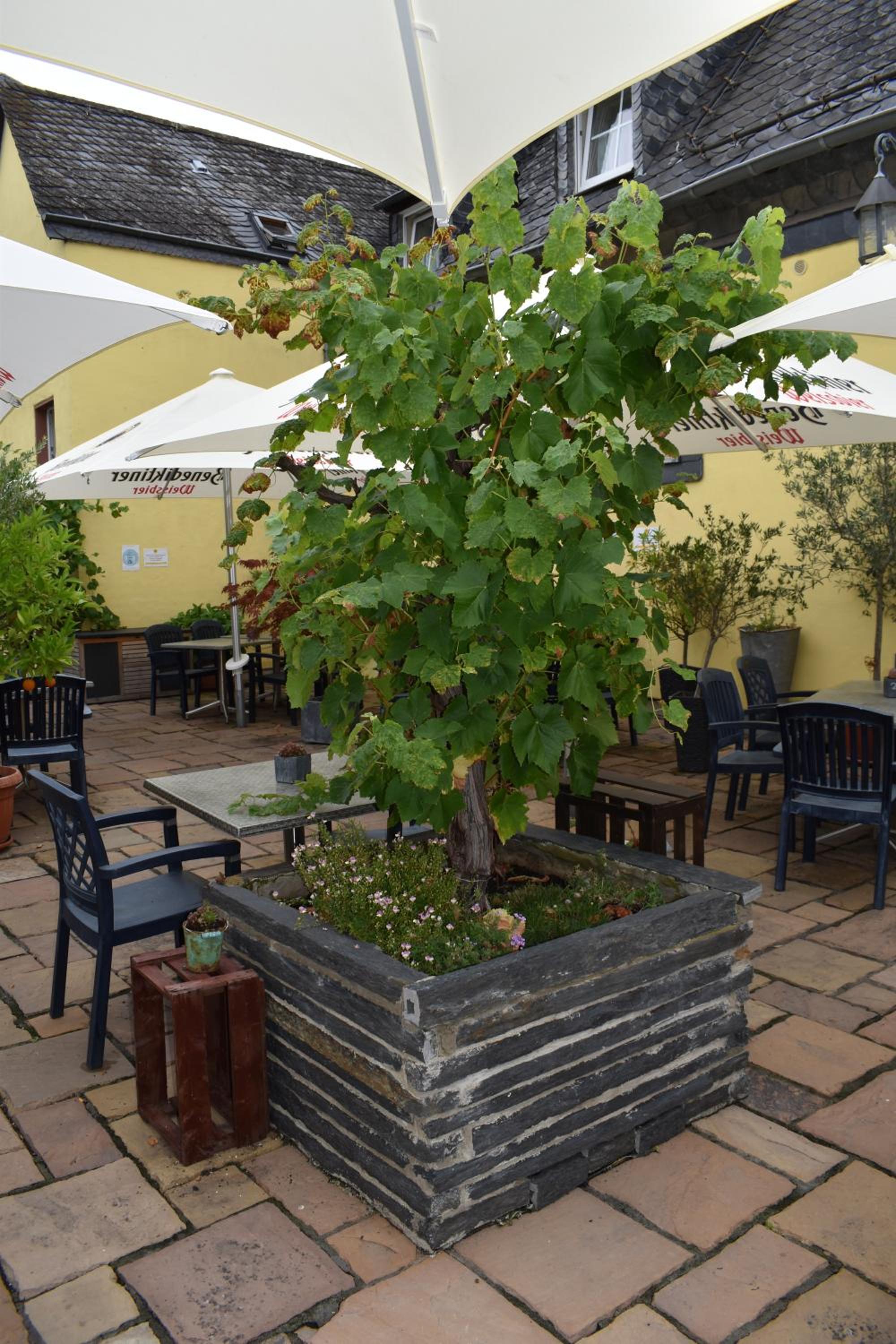 Landgasthof Zur Sonne