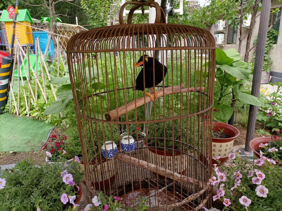 Dong Li Guest House