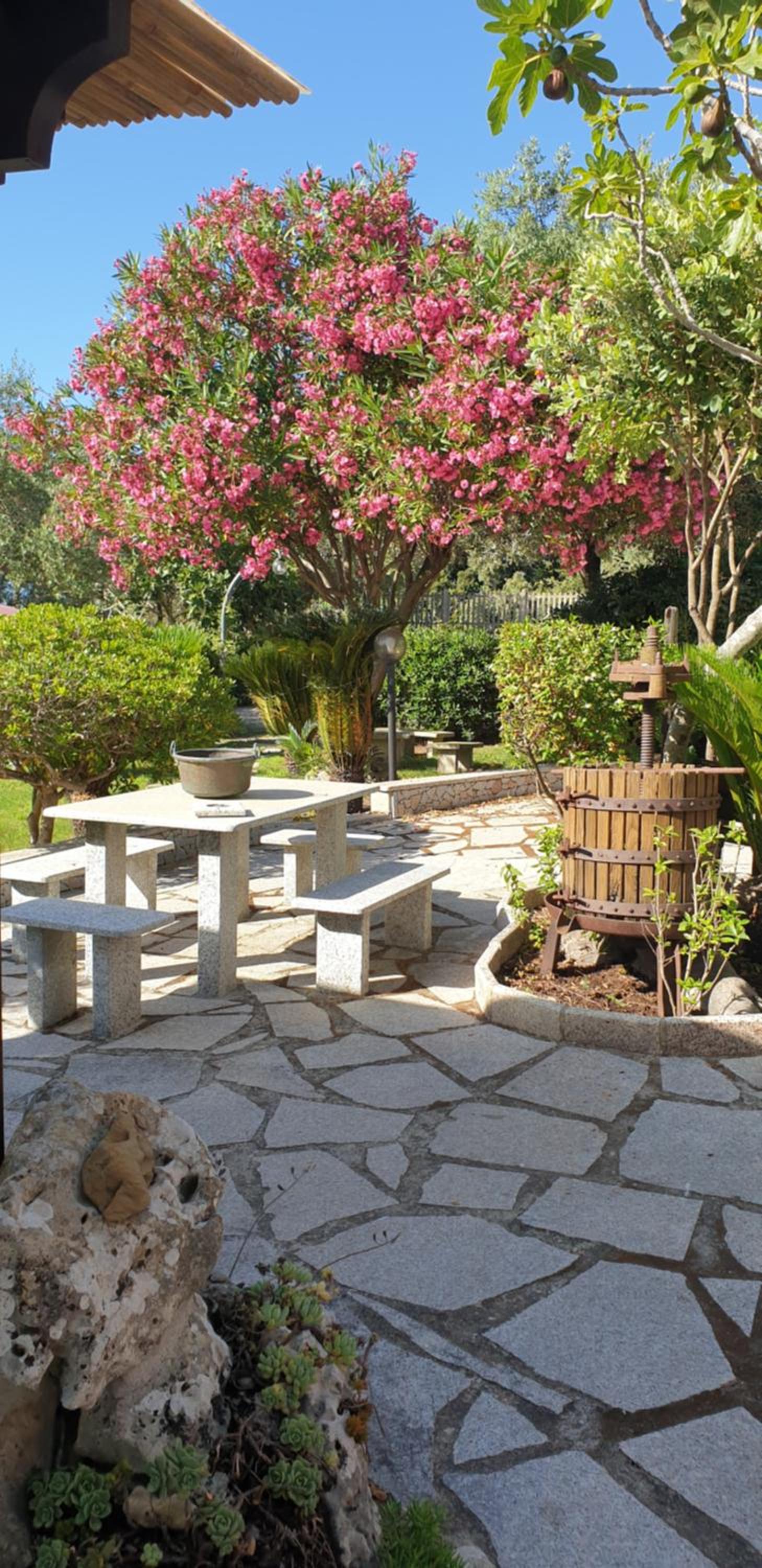 Antico Casolare Sorso-Tourist Rental view 2