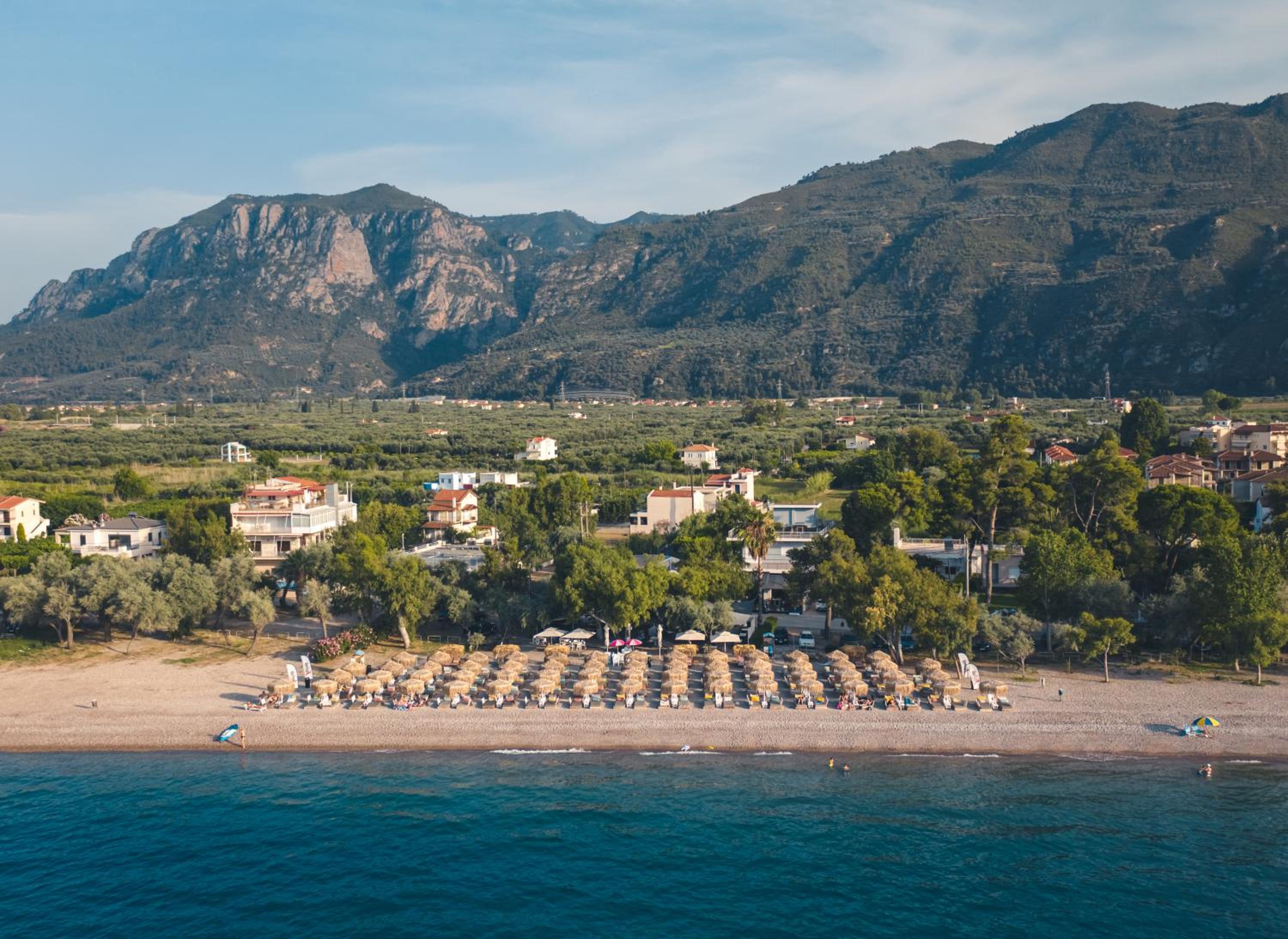 Olive Tree Suites view 4