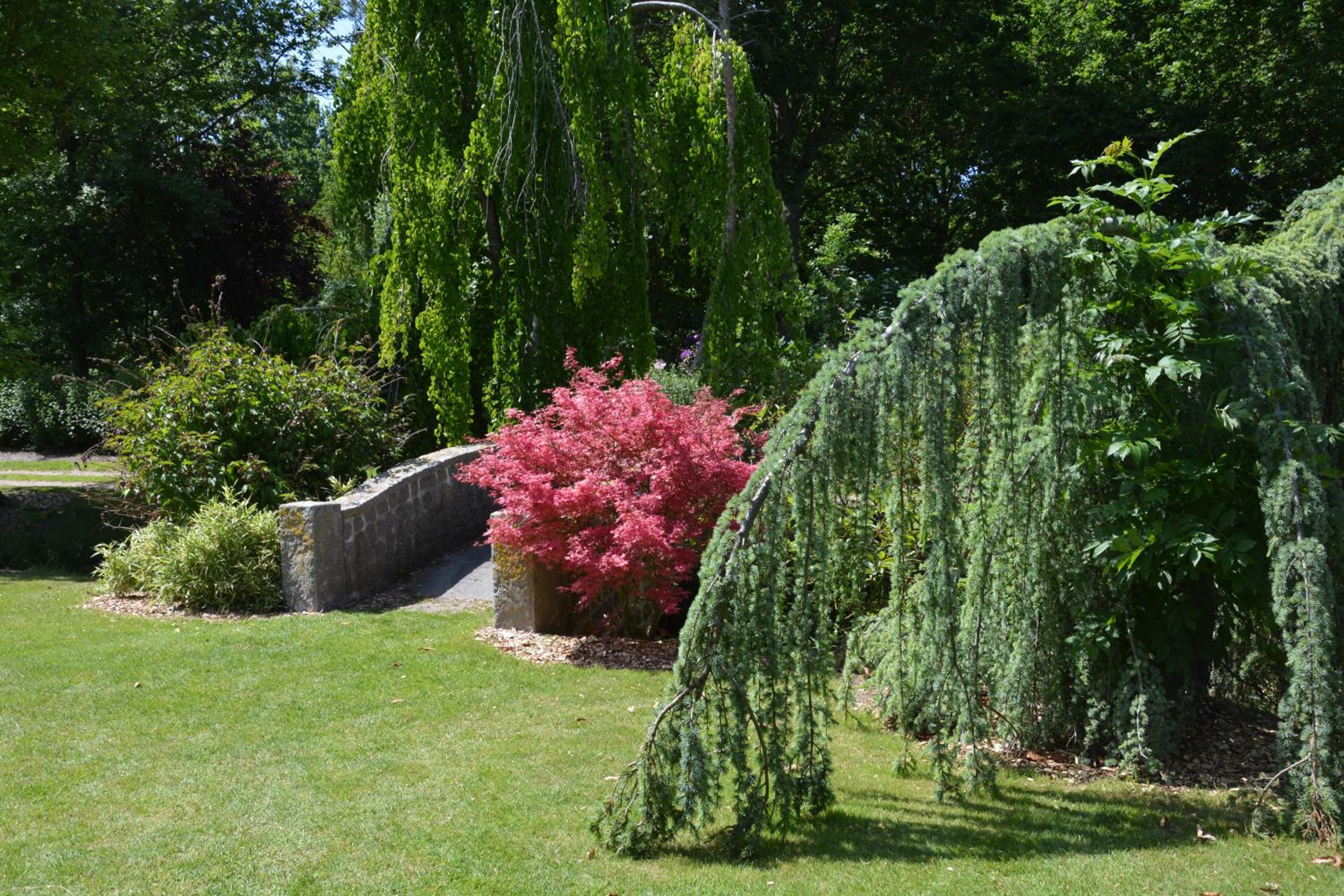 Photo 22