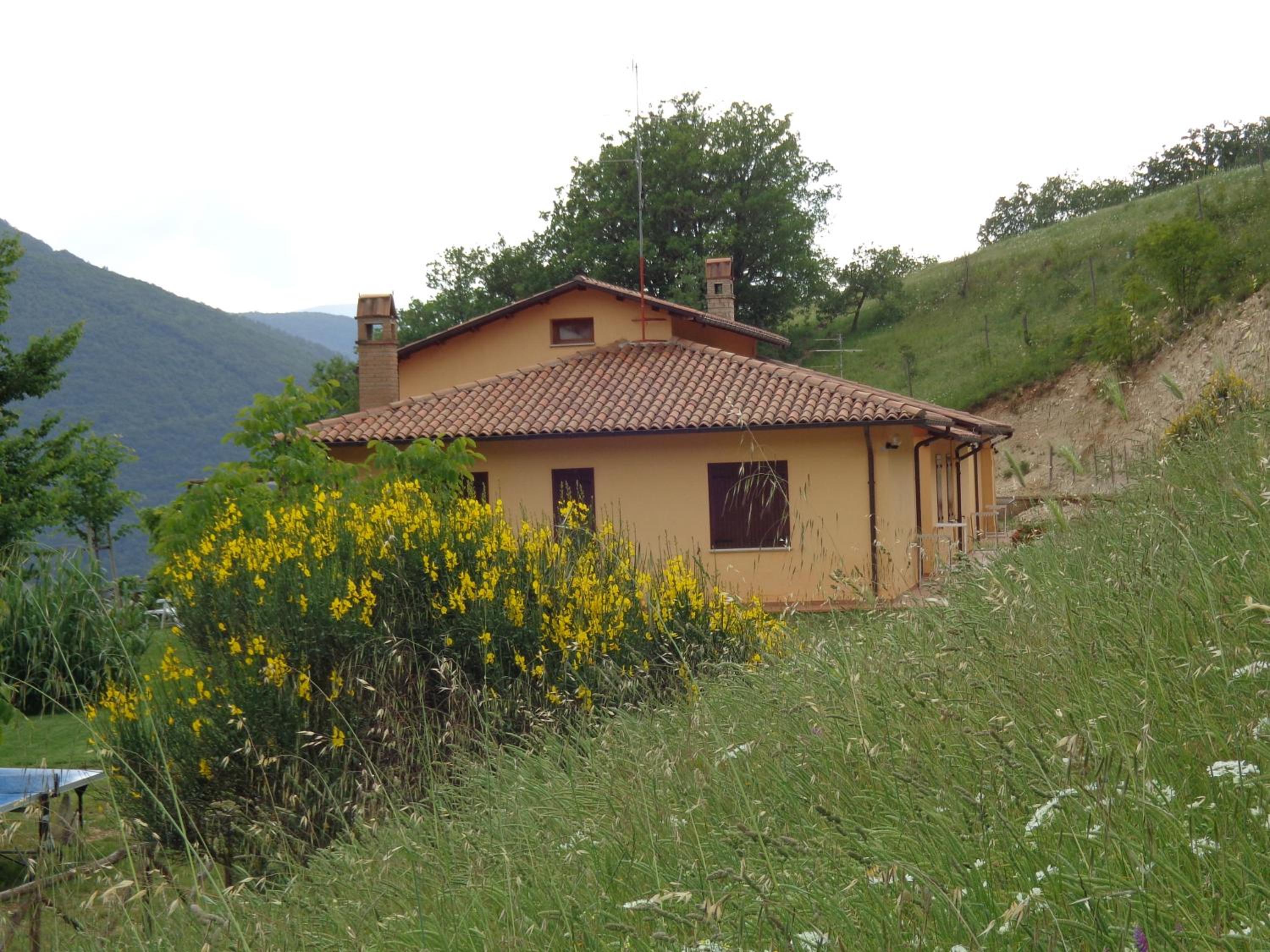 Photo 40