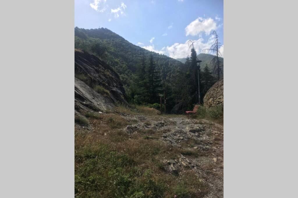 Photo 31