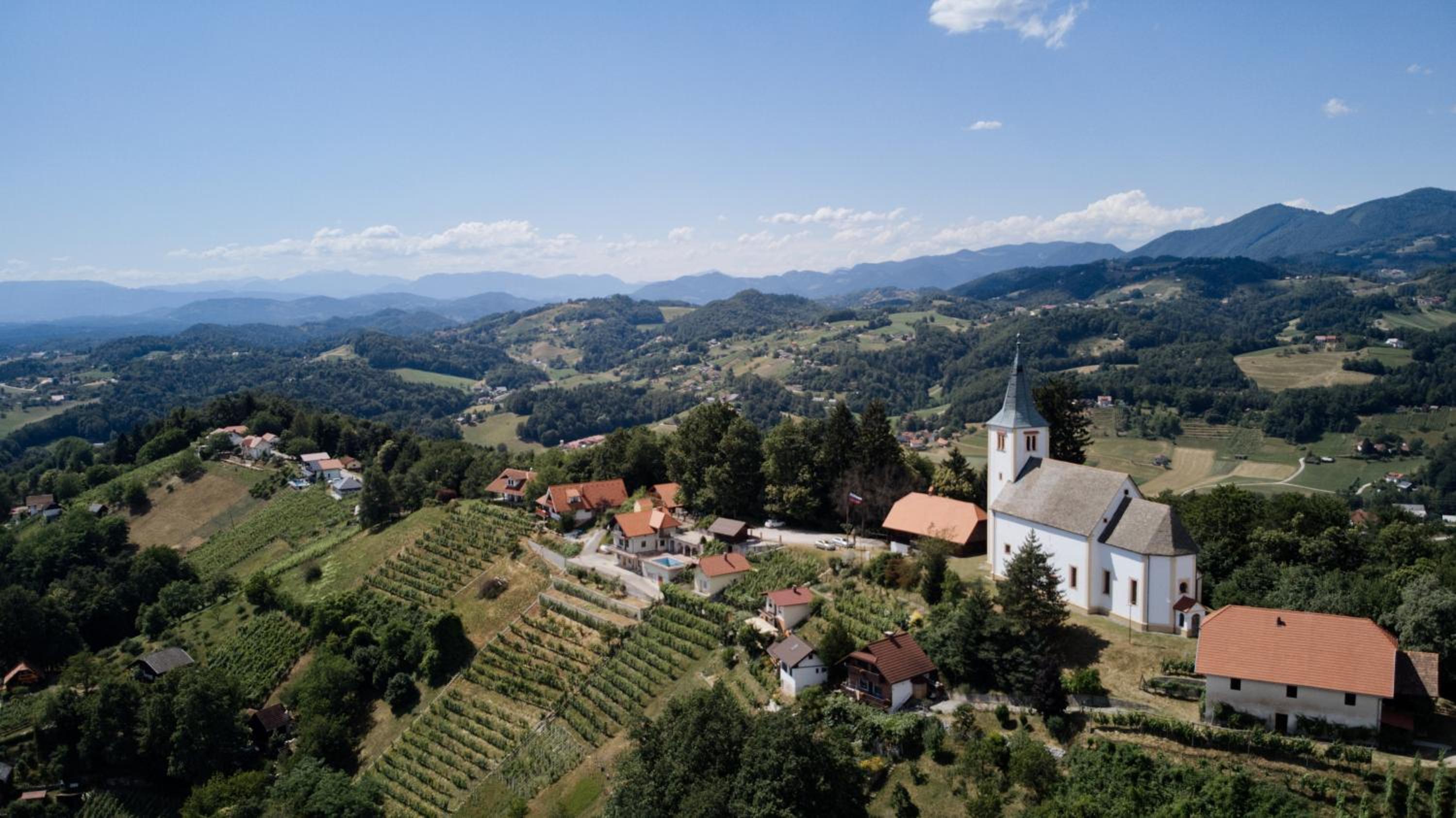 Vineyard Paradise Senica