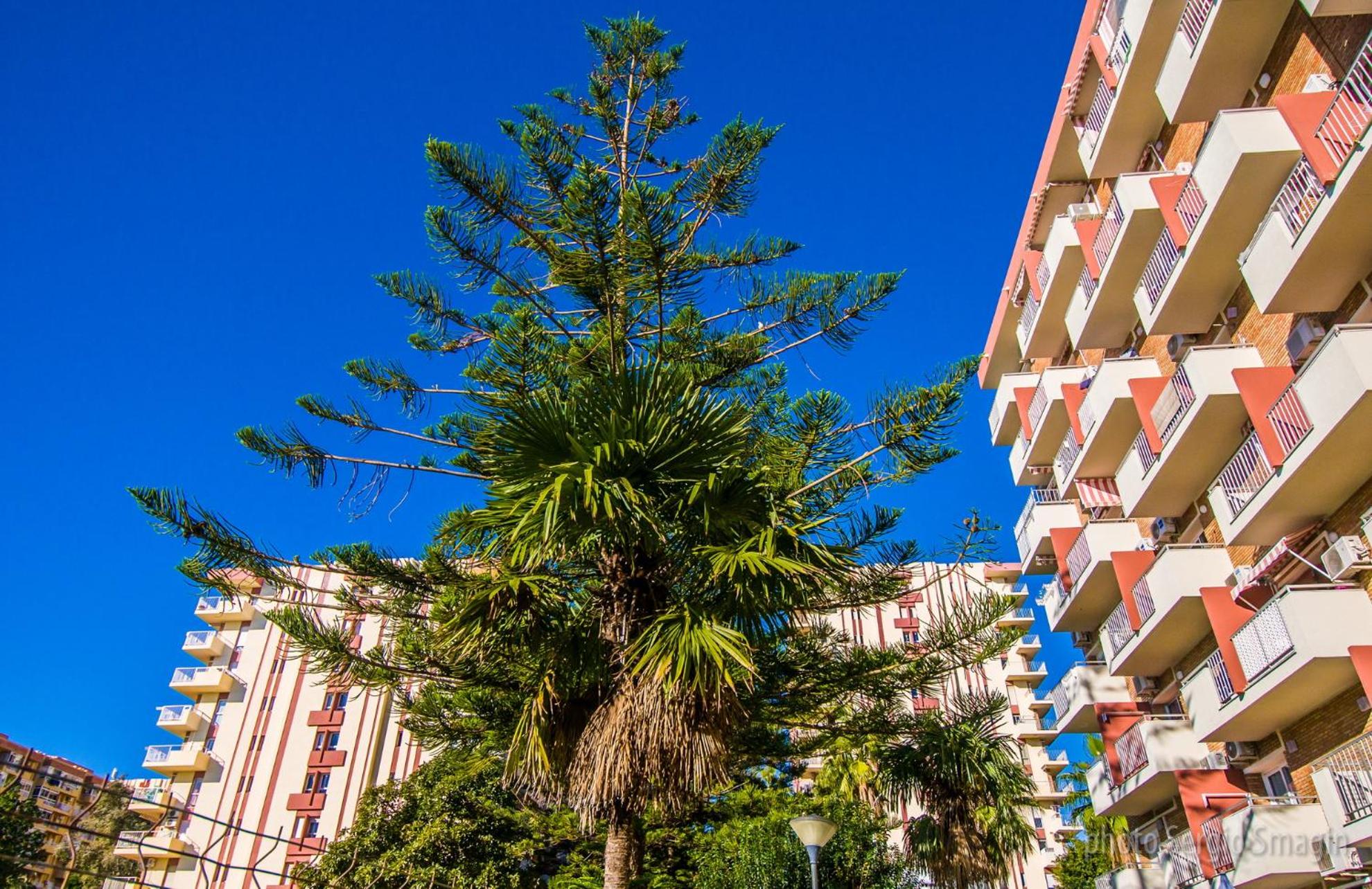 427 Estudio en Júpiter Apartamentos - Vista a la piscina, el mar y las montaña