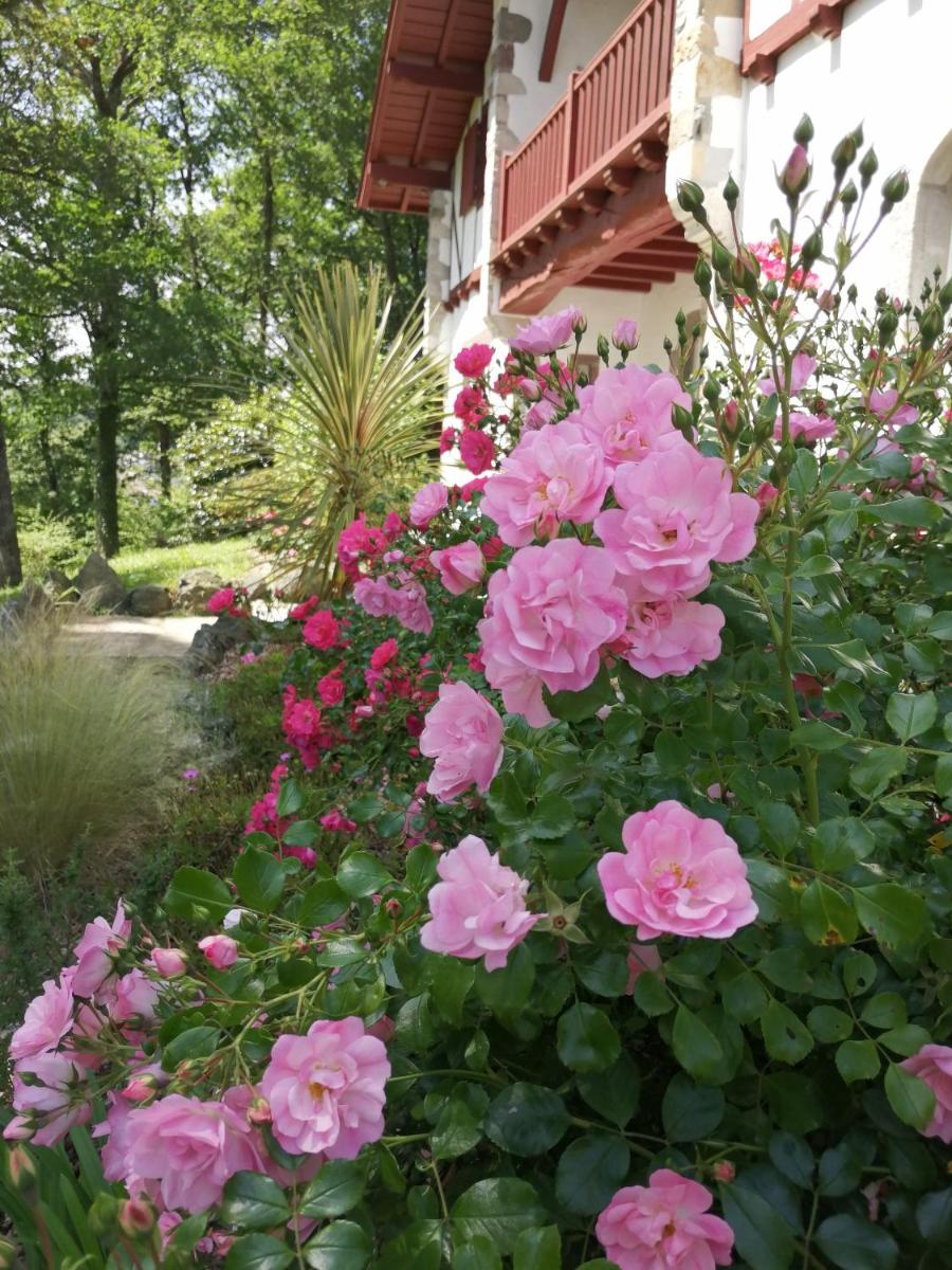 Photo 23