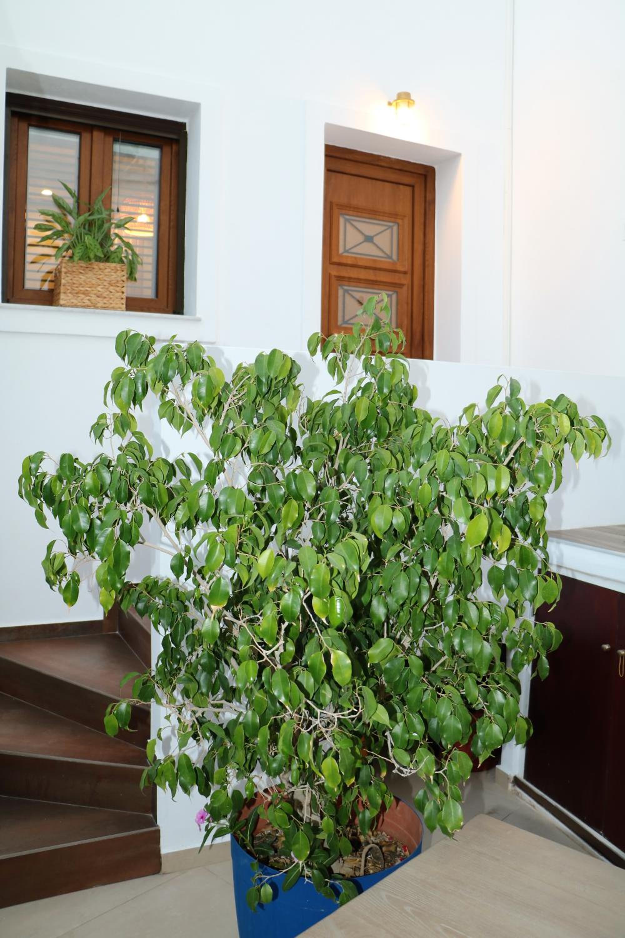 Photo 40