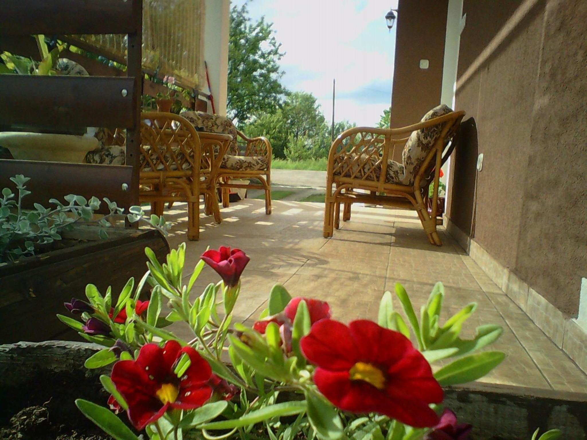 Photo 33