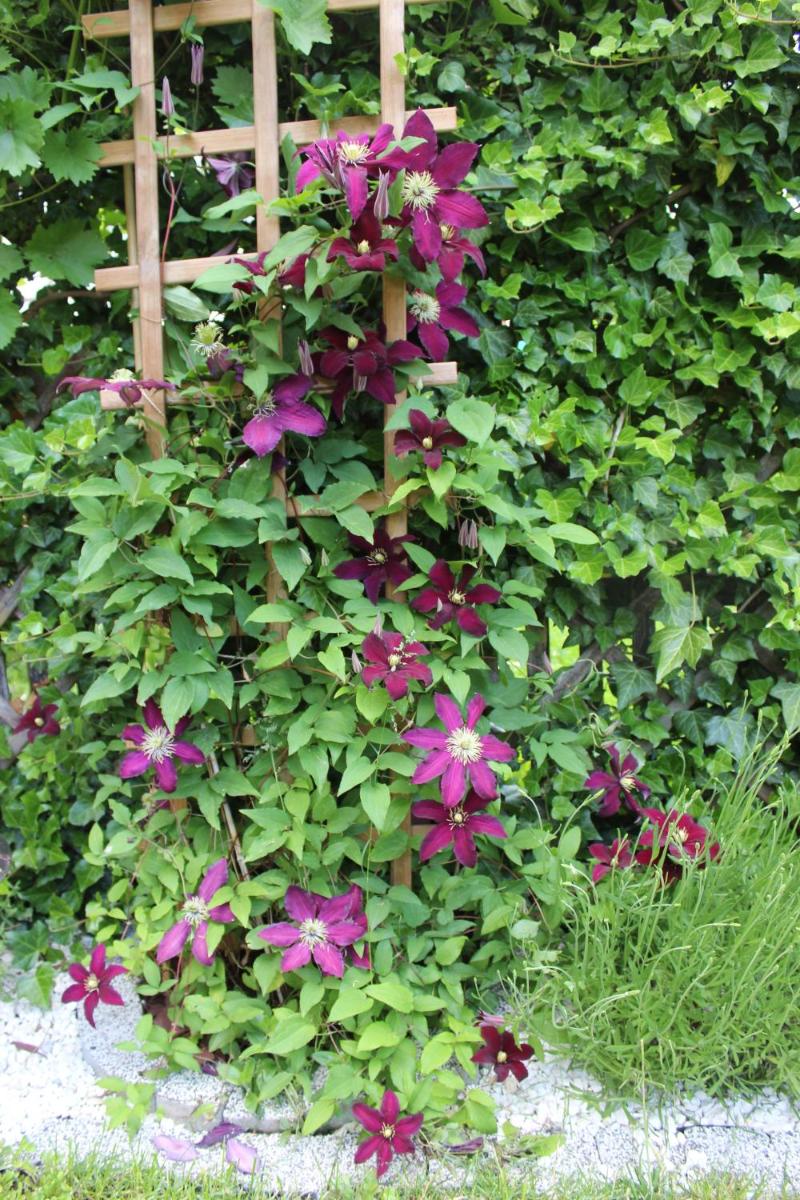 Photo 26