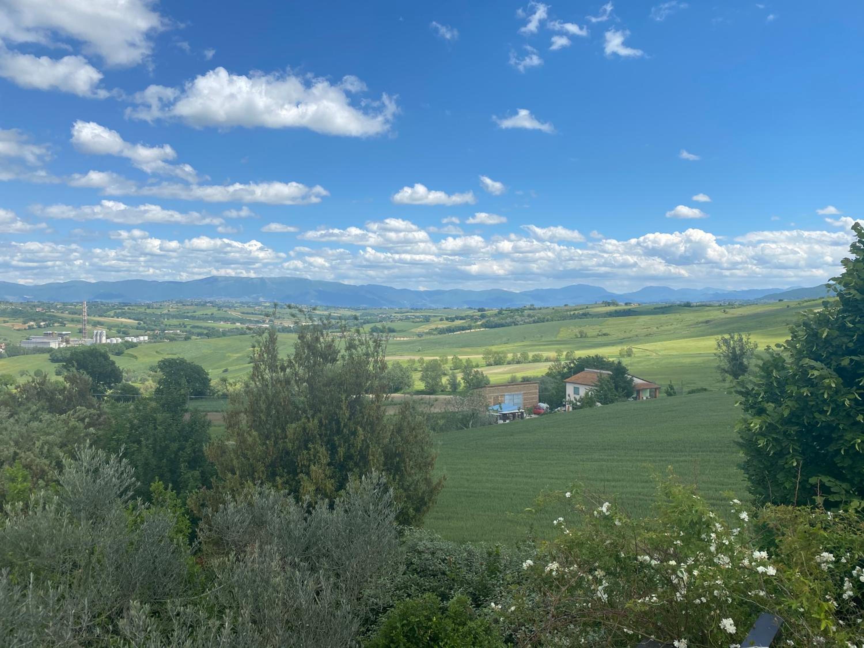 La Posta Di Bacco