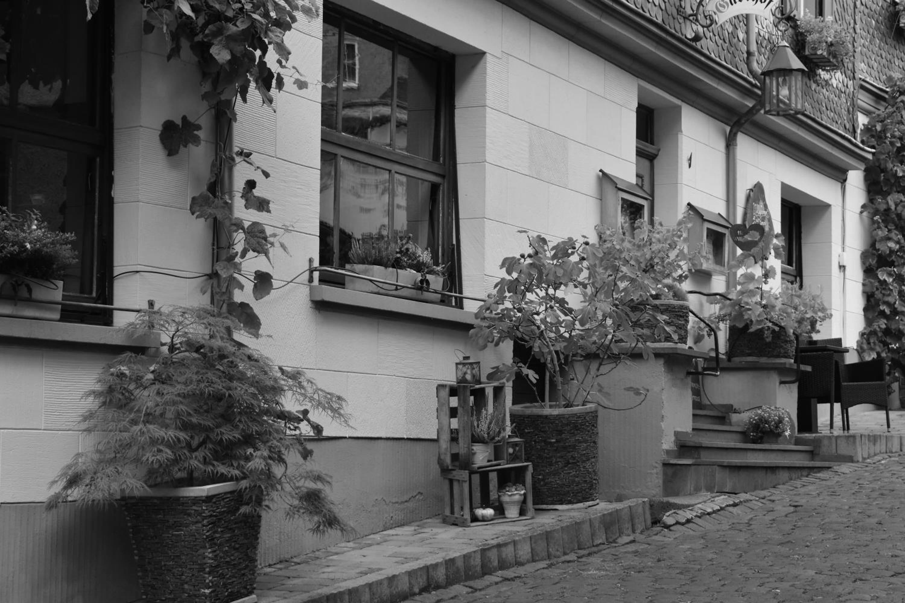 Landgasthof Zur Sonne