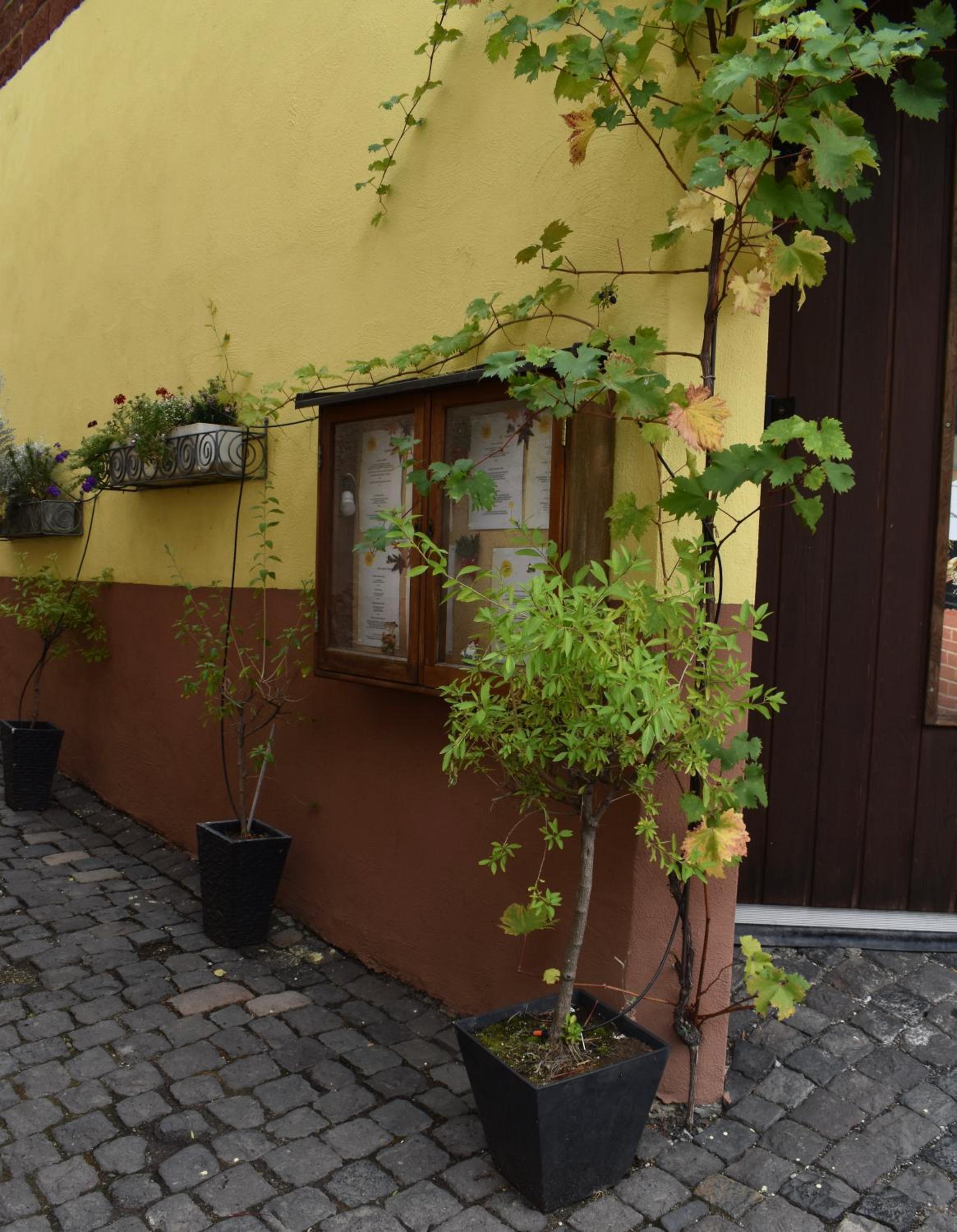 Landgasthof Zur Sonne