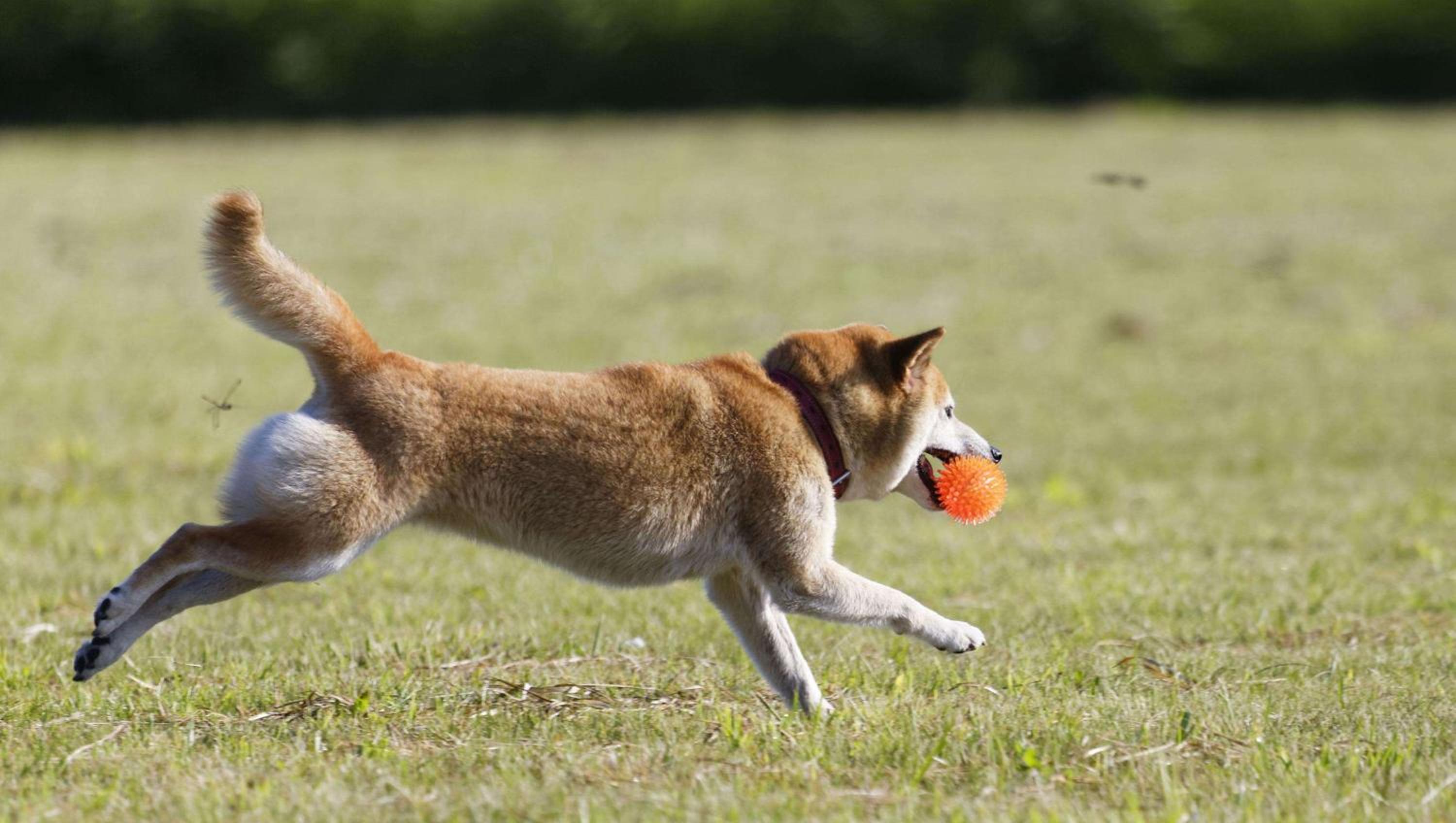 Emporia Vacations - Studios and Suites 4 Less Emporia - Property Image 18