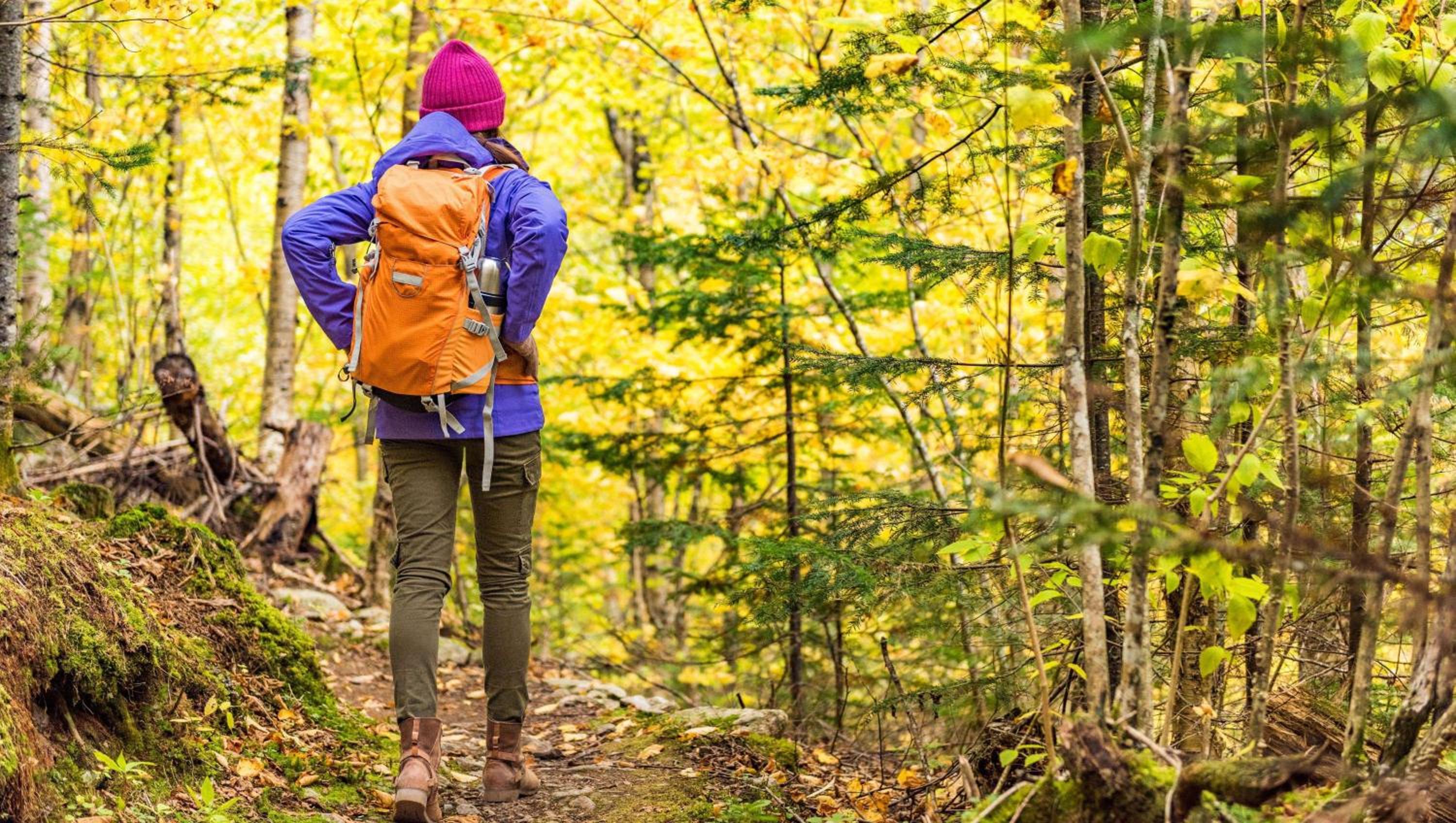 Emporia Vacations - Studios and Suites 4 Less Emporia - Property Image 31