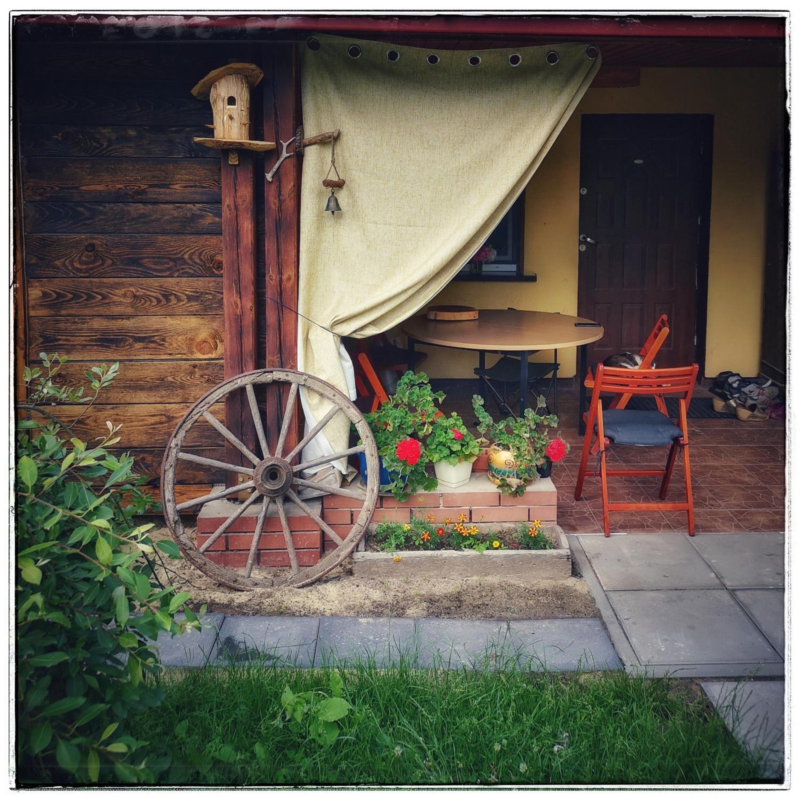 Photo 7