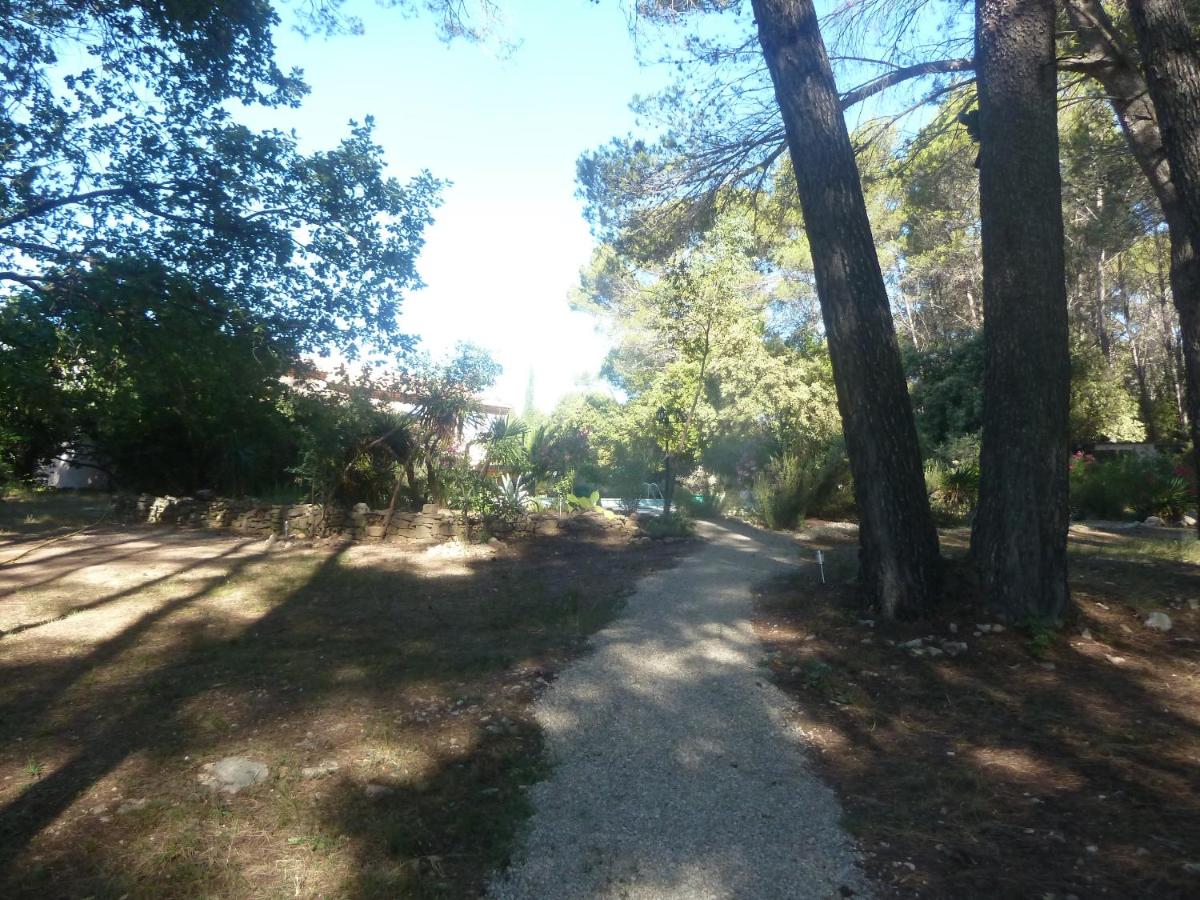 Photo 23