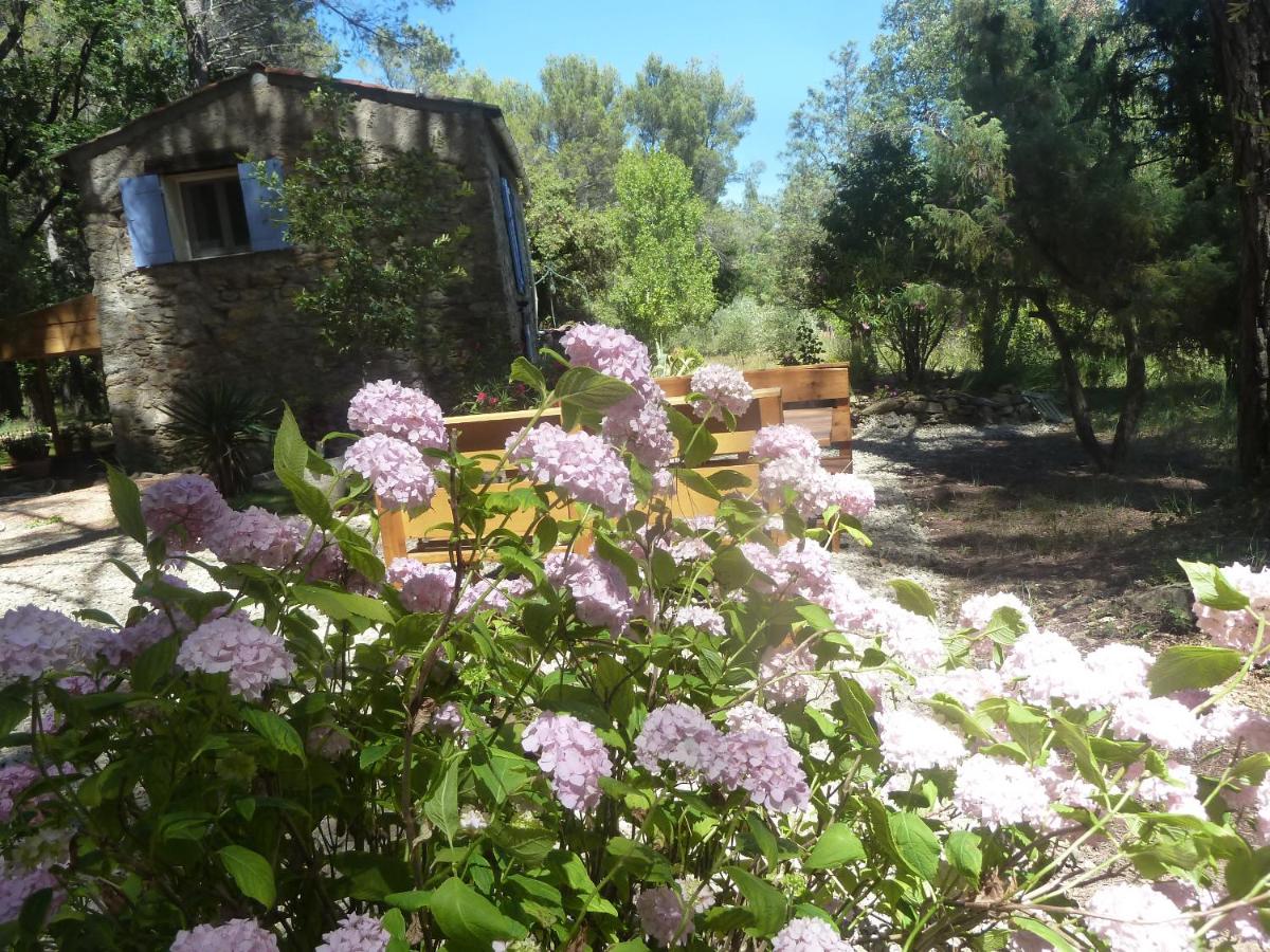 Photo 25