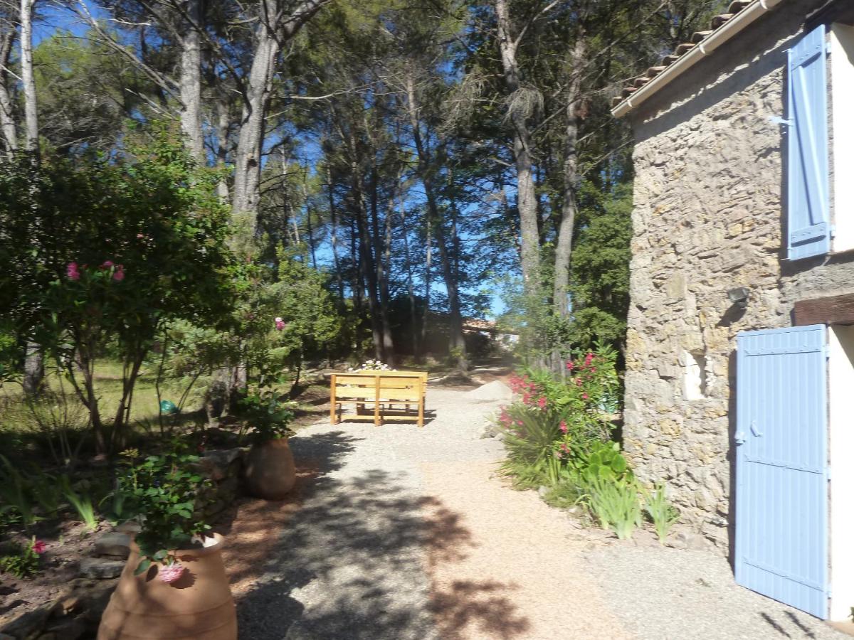 Photo 26