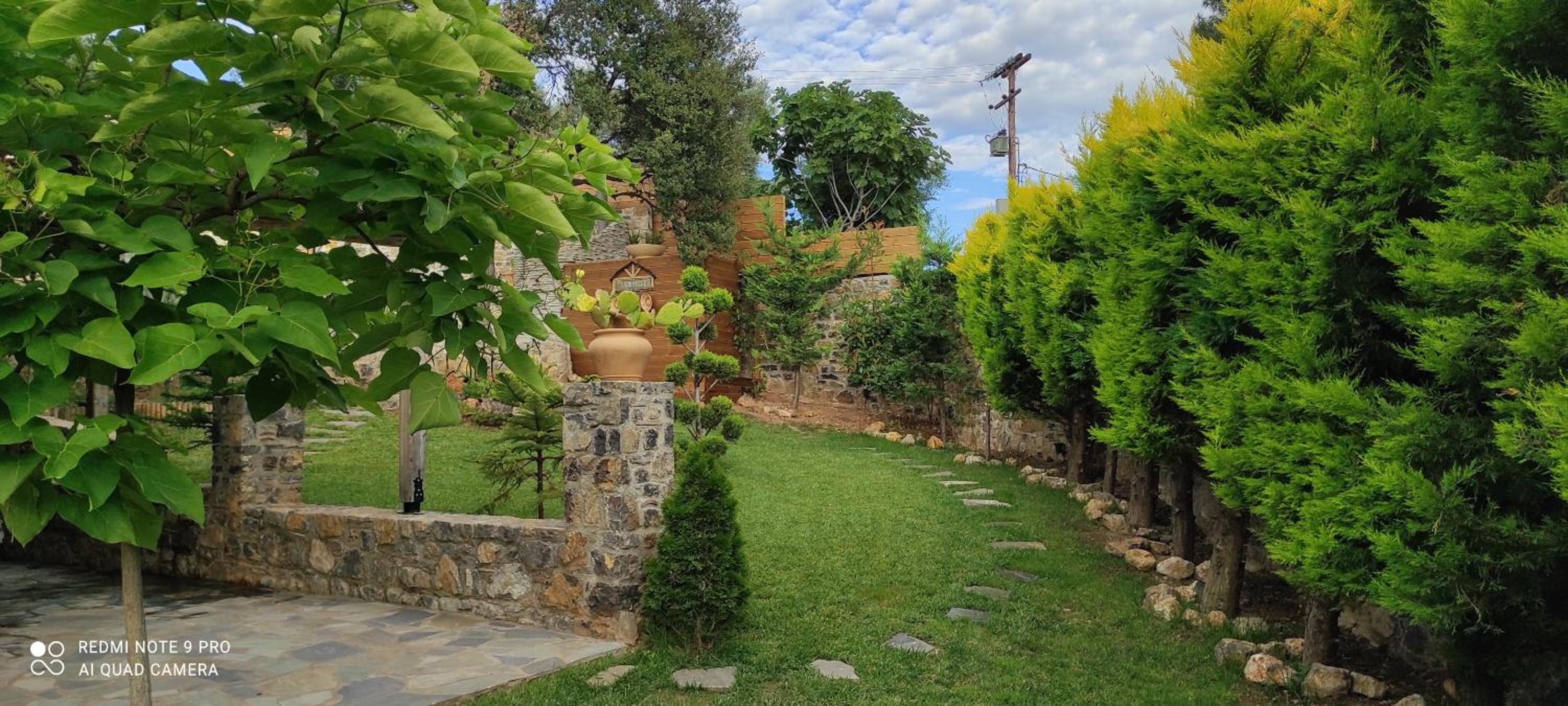Photo 43