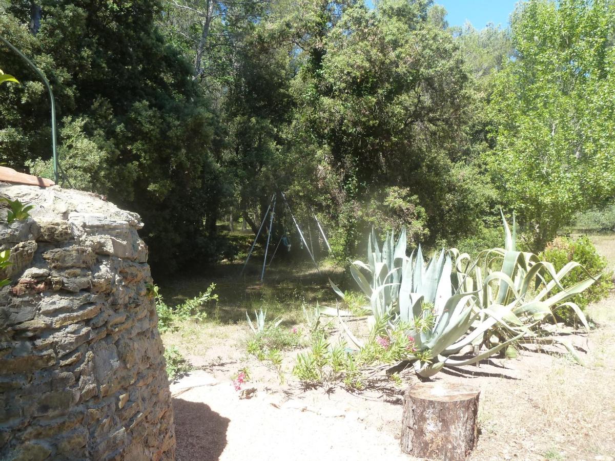 Photo 30