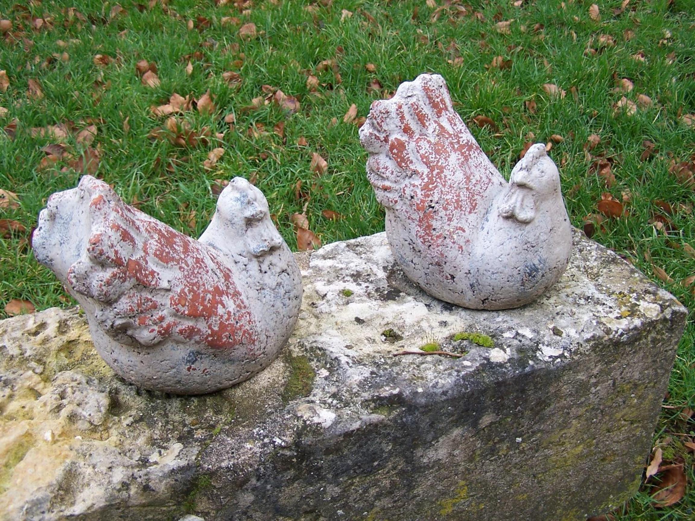 Photo 19