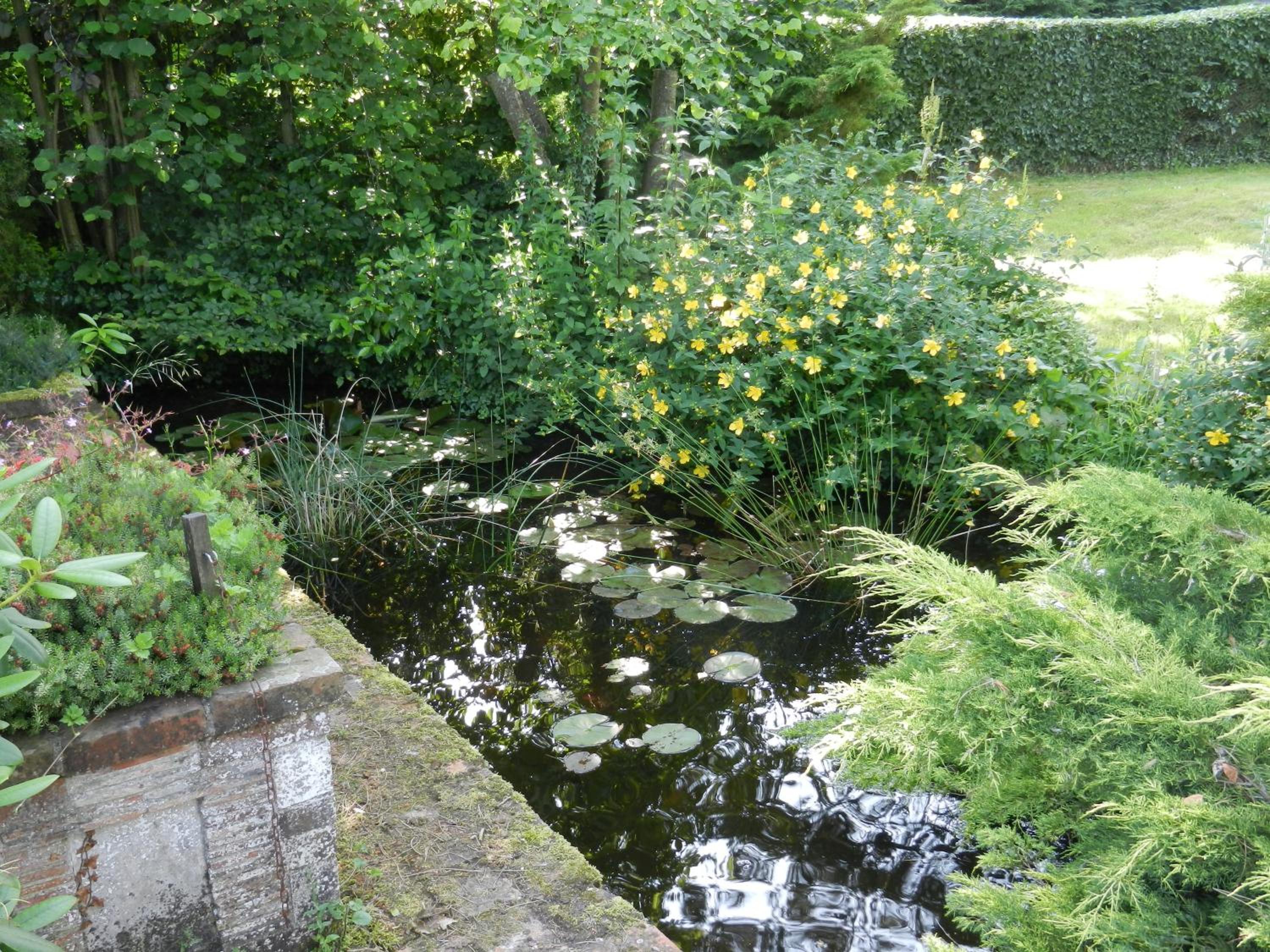 Photo 18