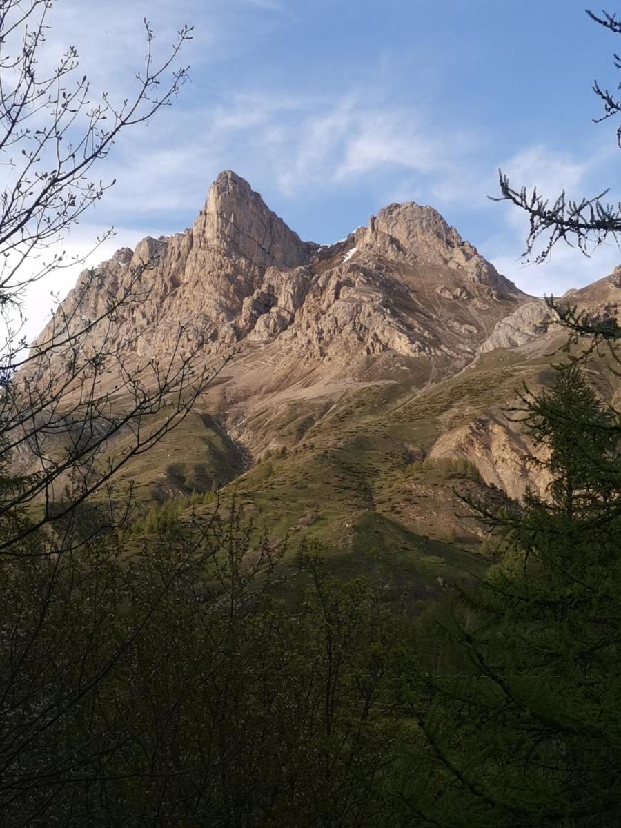 Photo 44