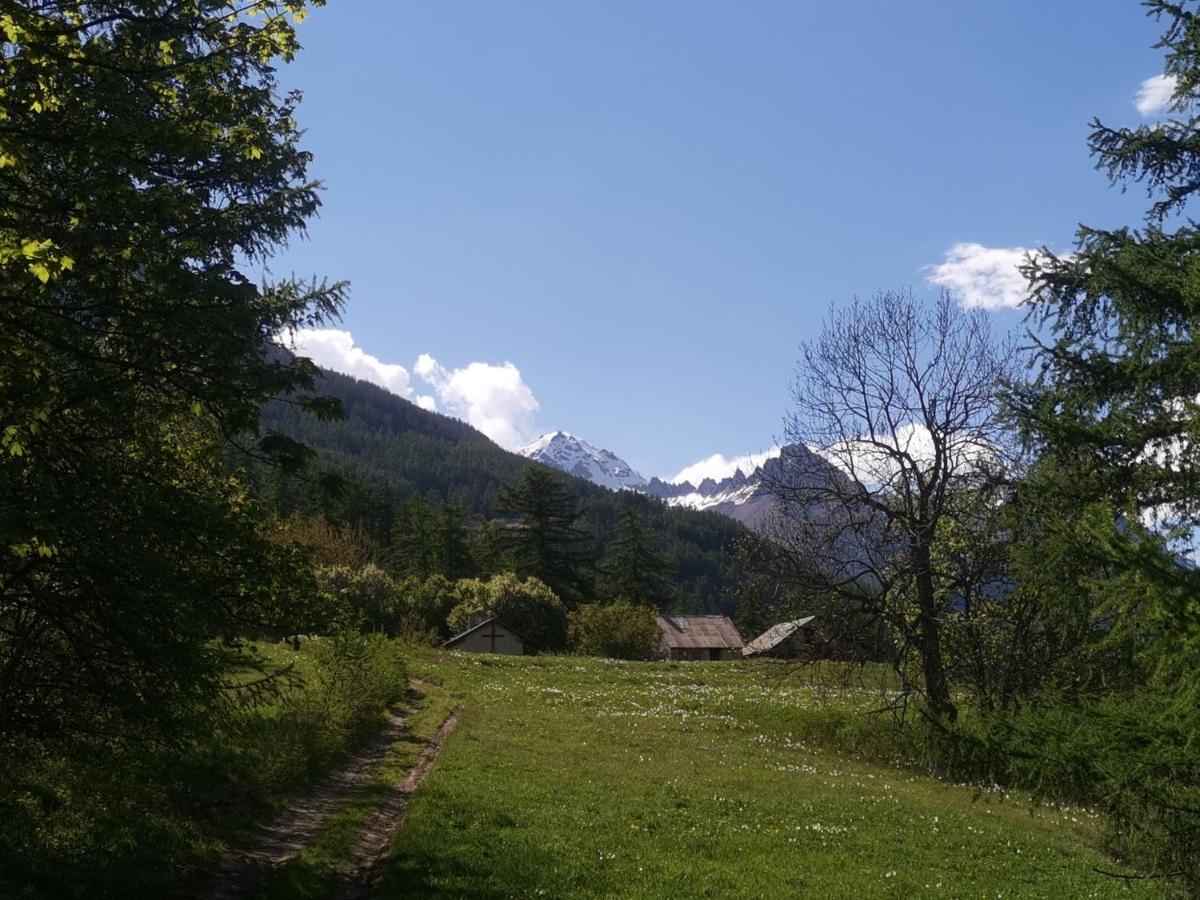 Photo 46