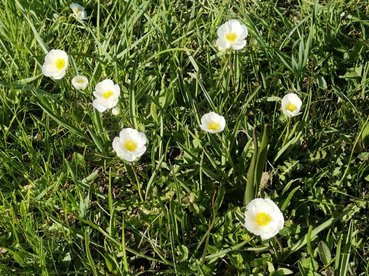 Photo 48