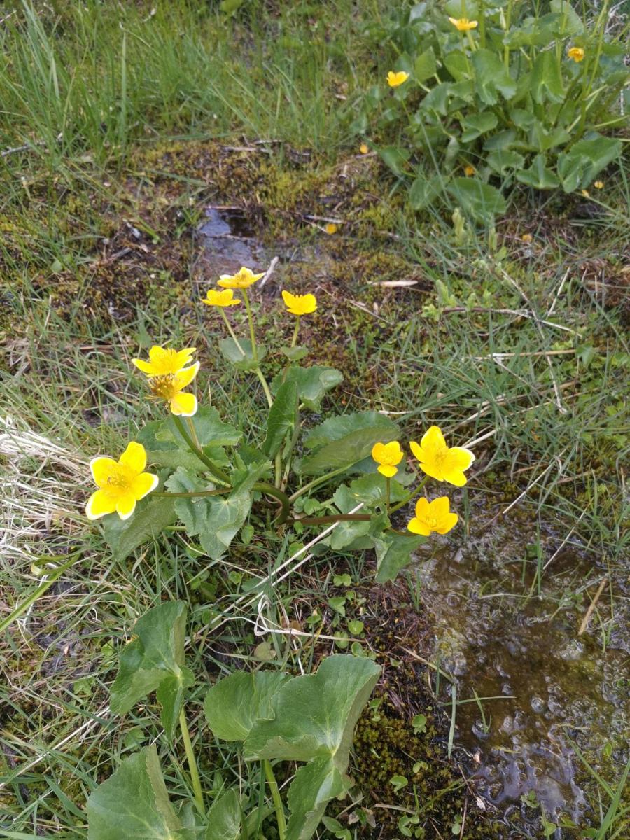 Photo 53