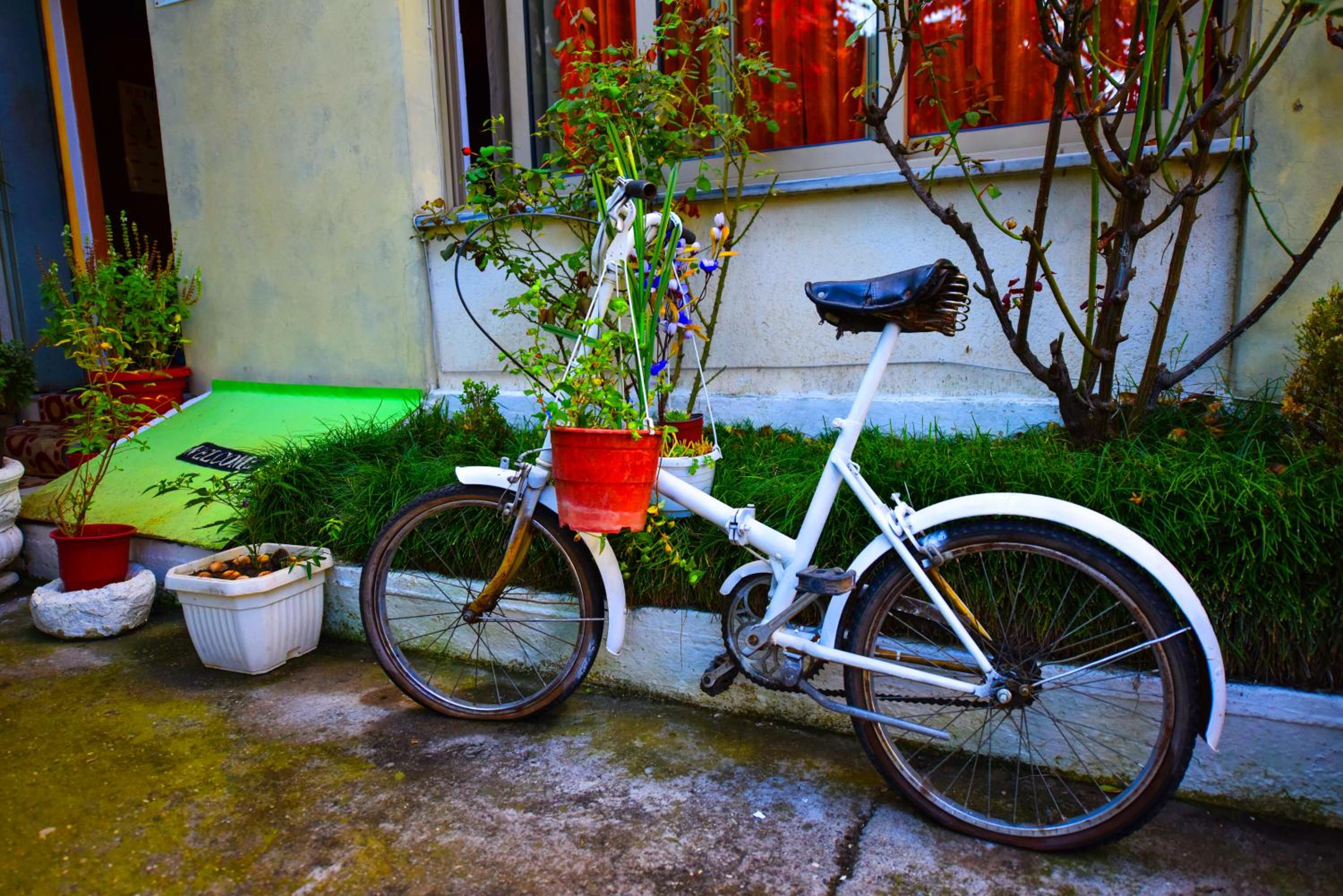 Lovely Apartment w/ AC + Bath. + Kitchen + Parking and Garden