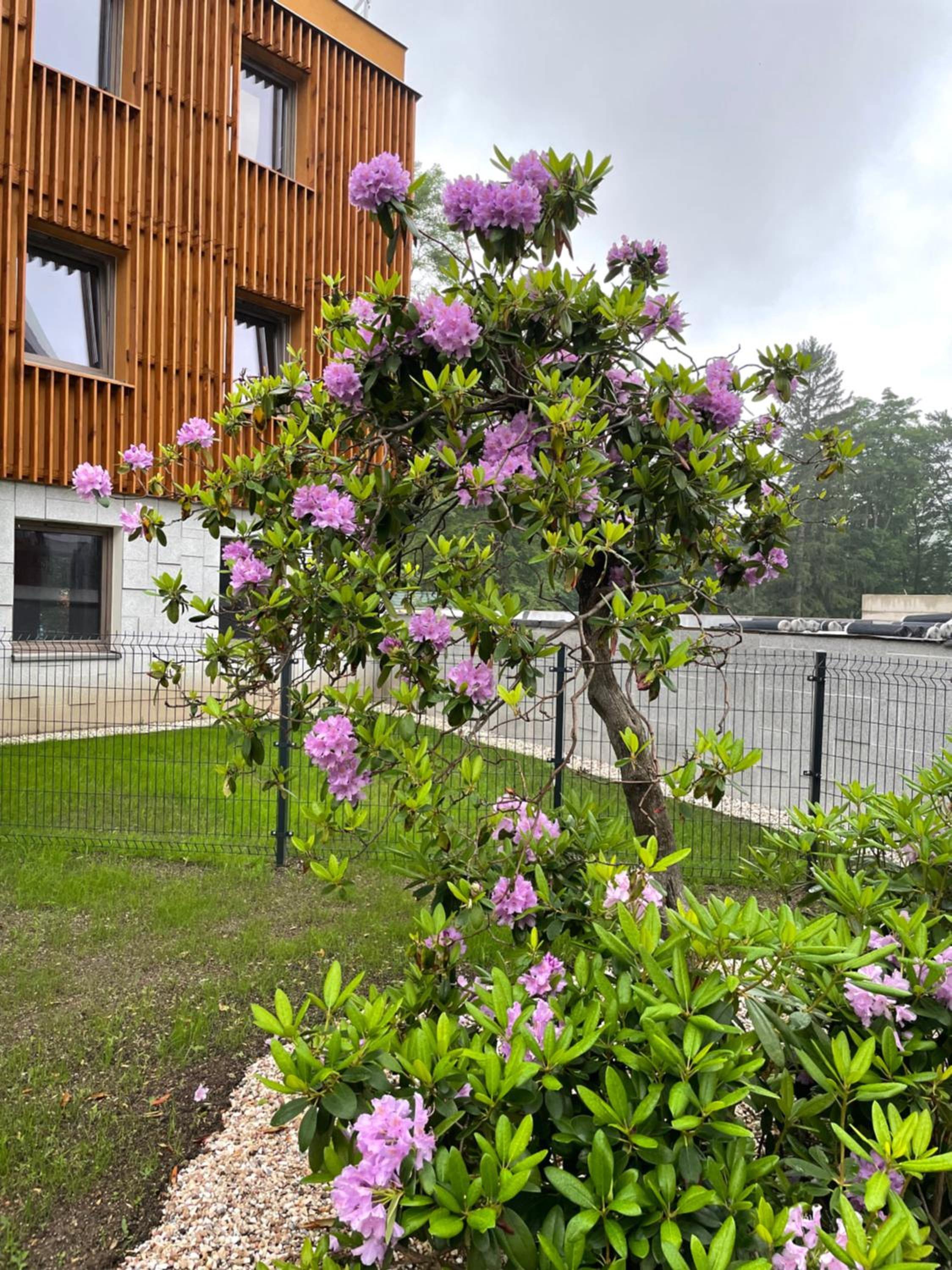 Photo 45