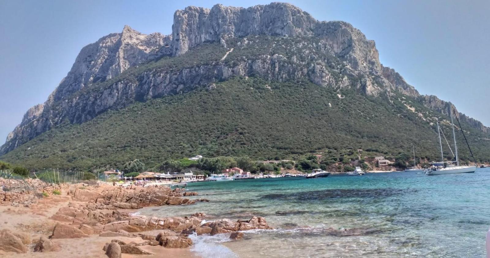 Glicine en Vaccileddi
