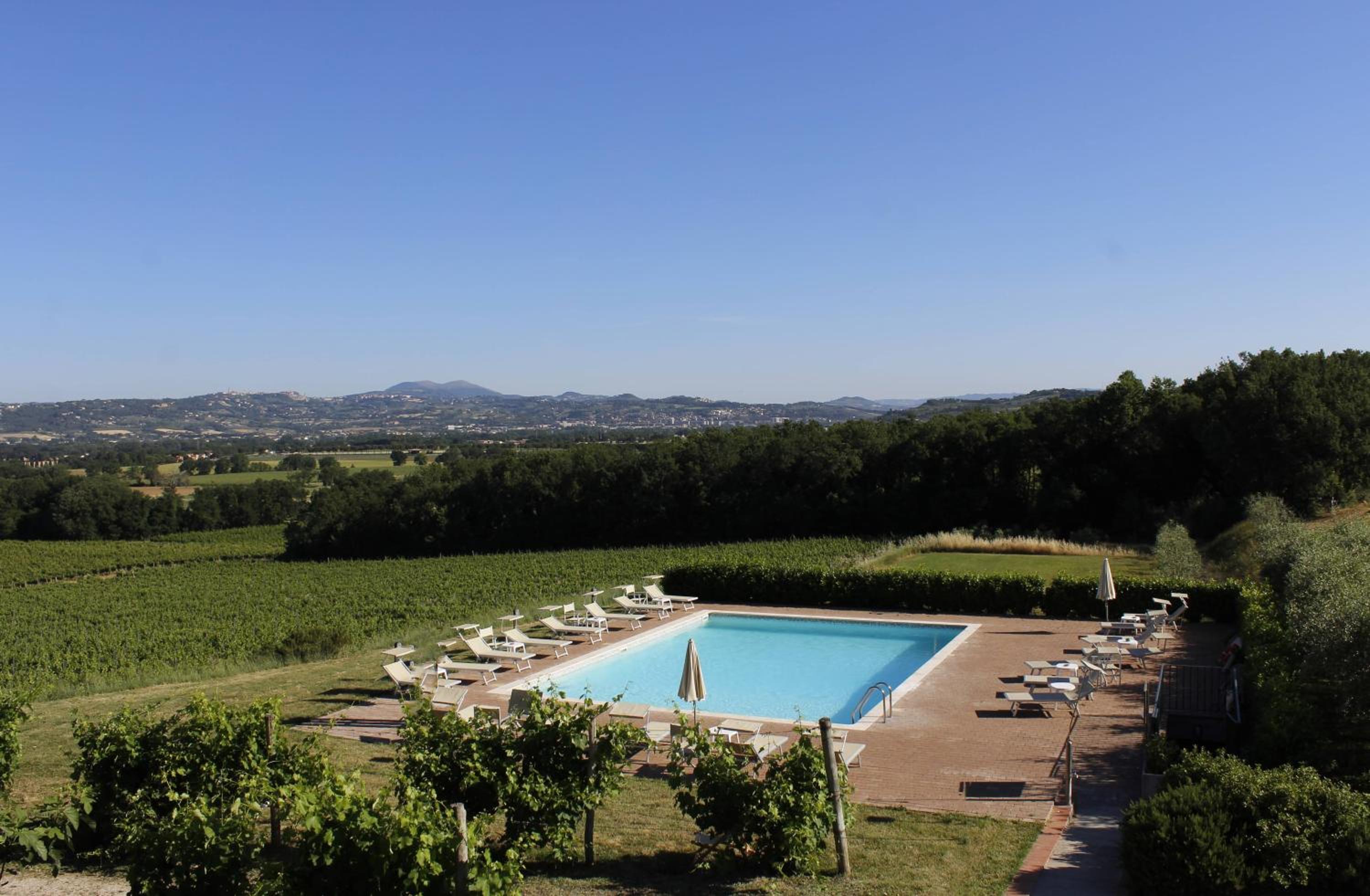 Poggio alle Vigne