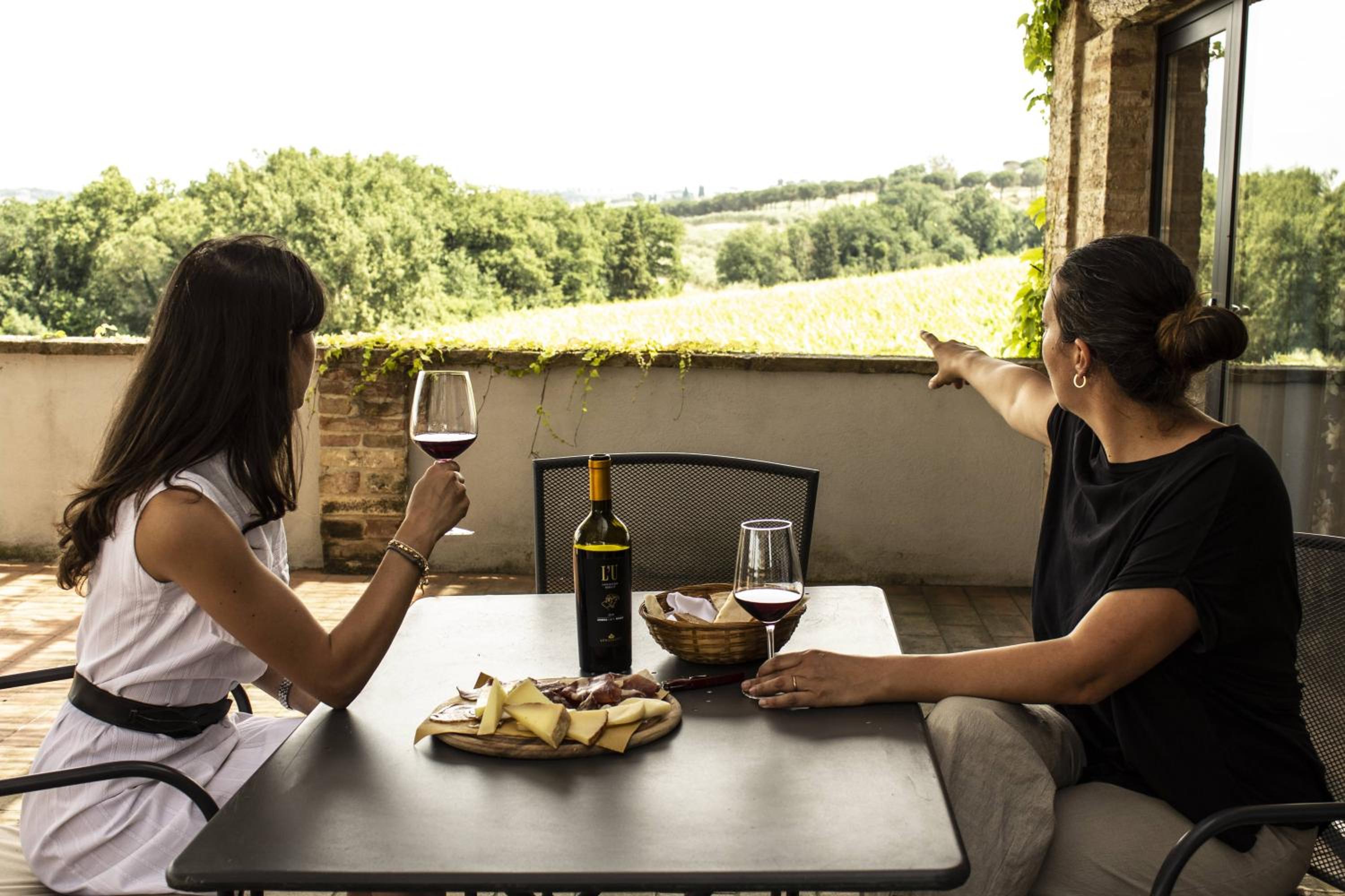 Poggio alle Vigne