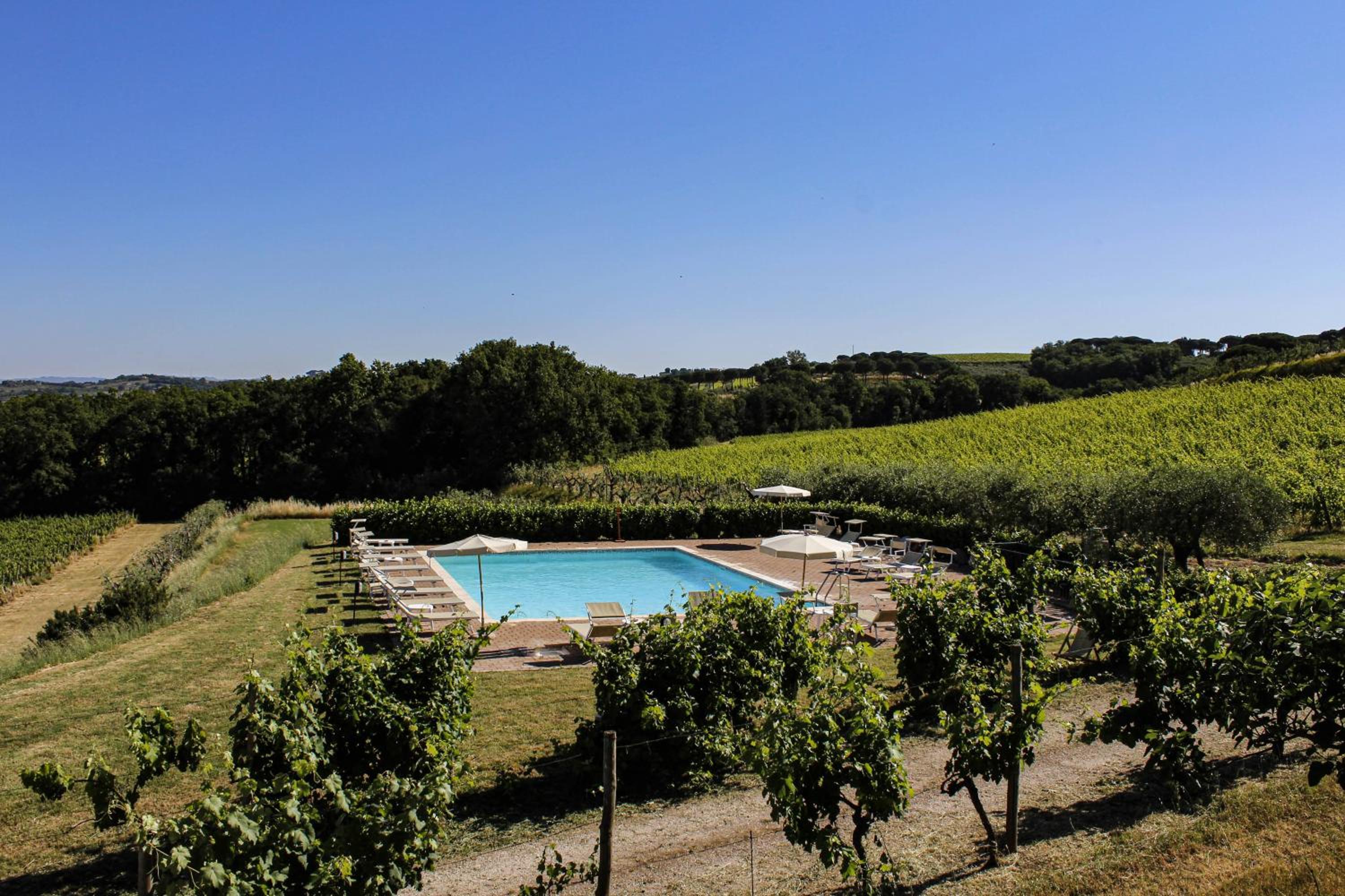 Poggio alle Vigne