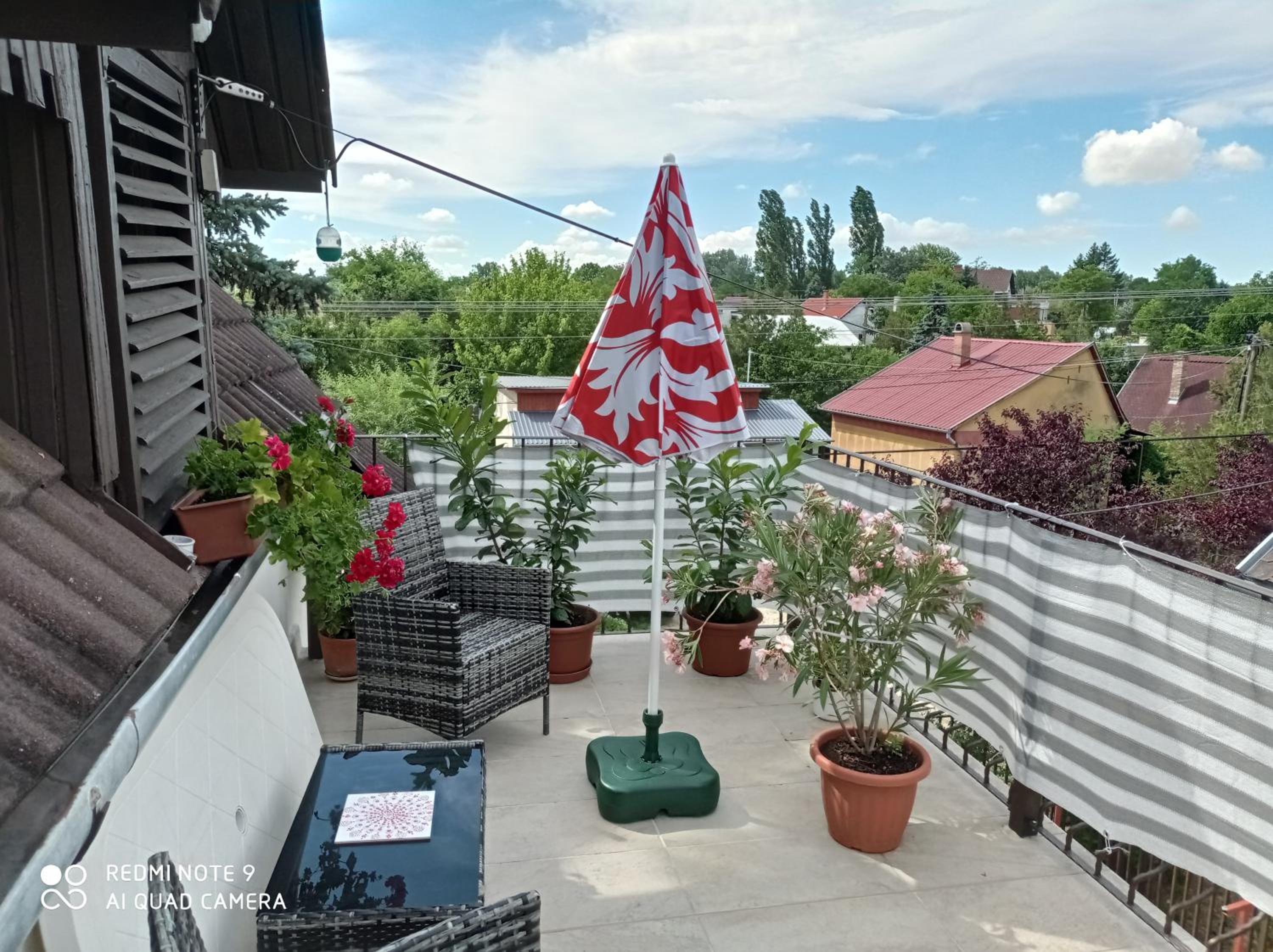 Tőserdő view 3