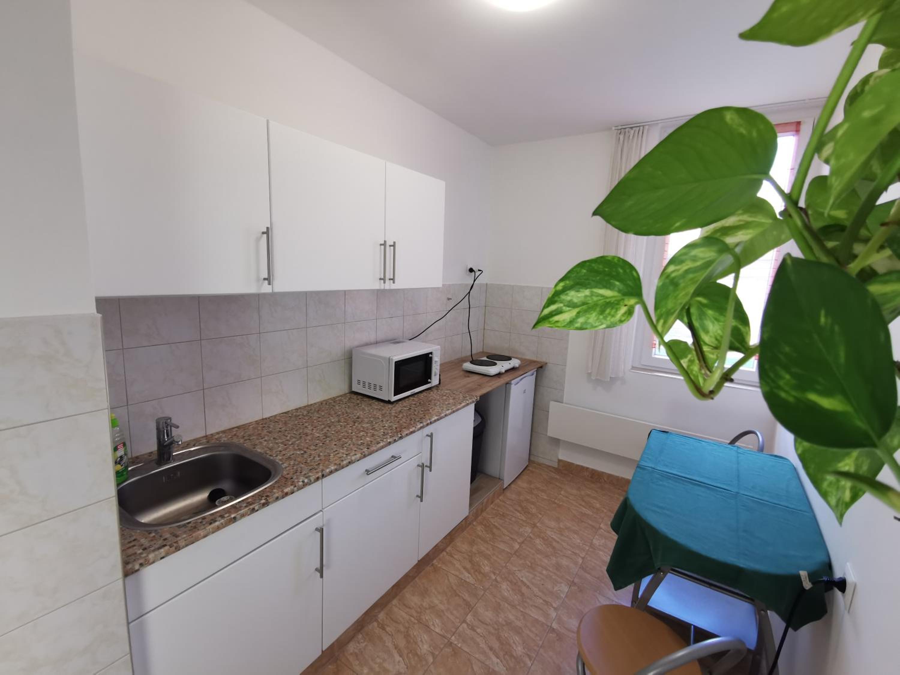 Arena Apartment