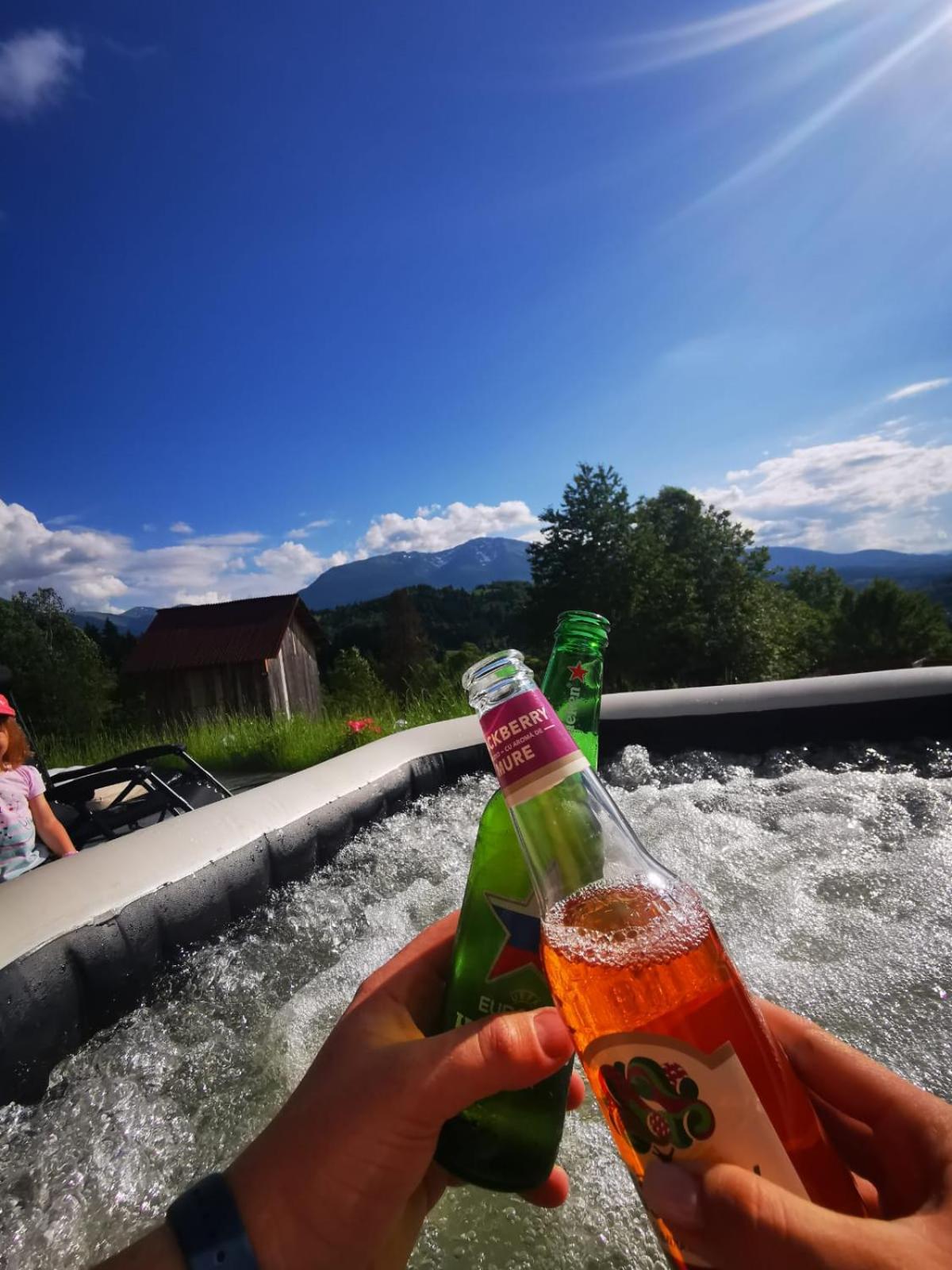 Cabana Doinița view 4