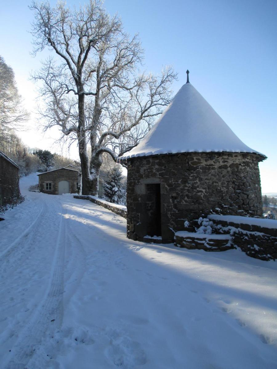 Photo 47