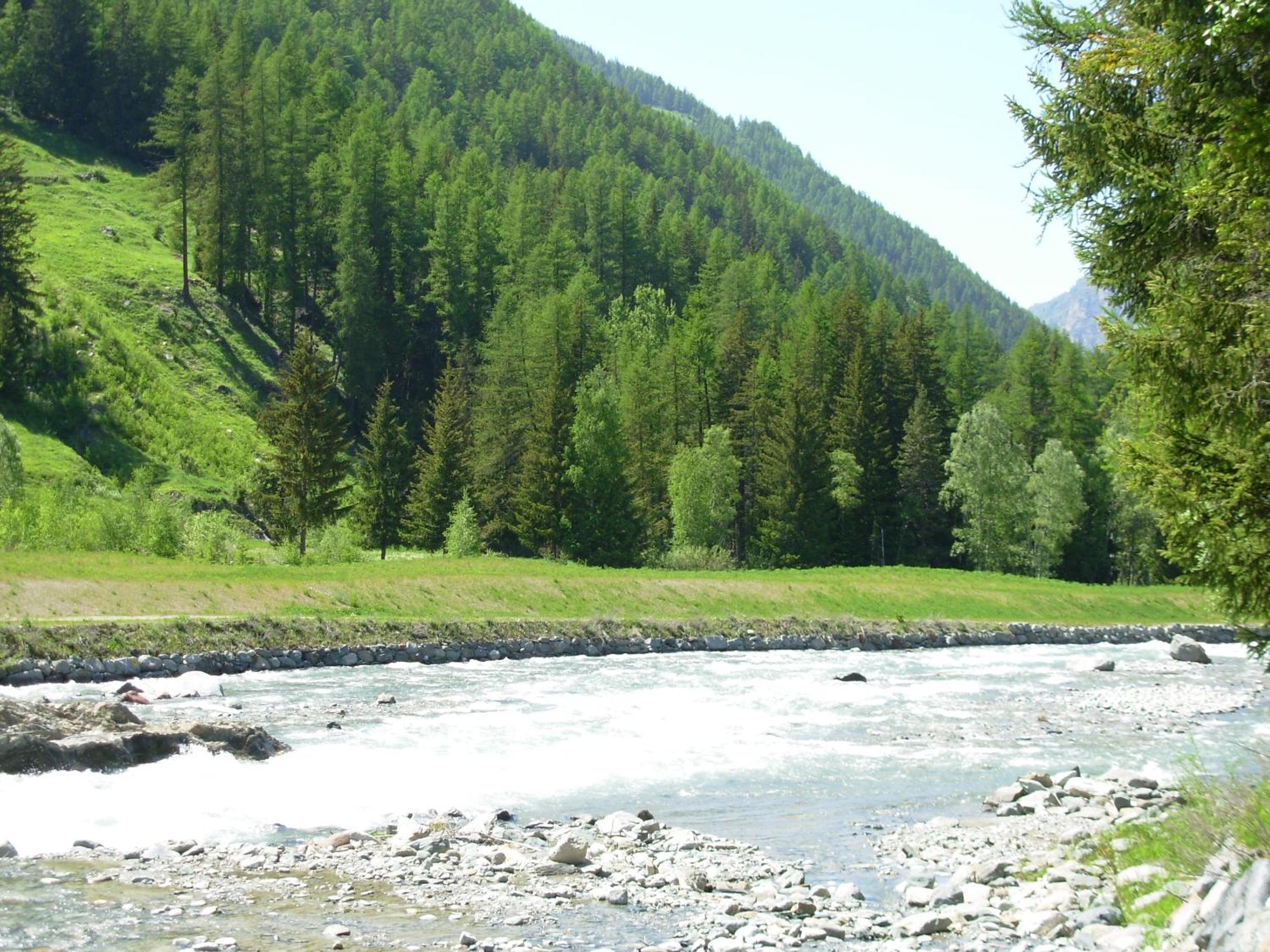 Photo 20