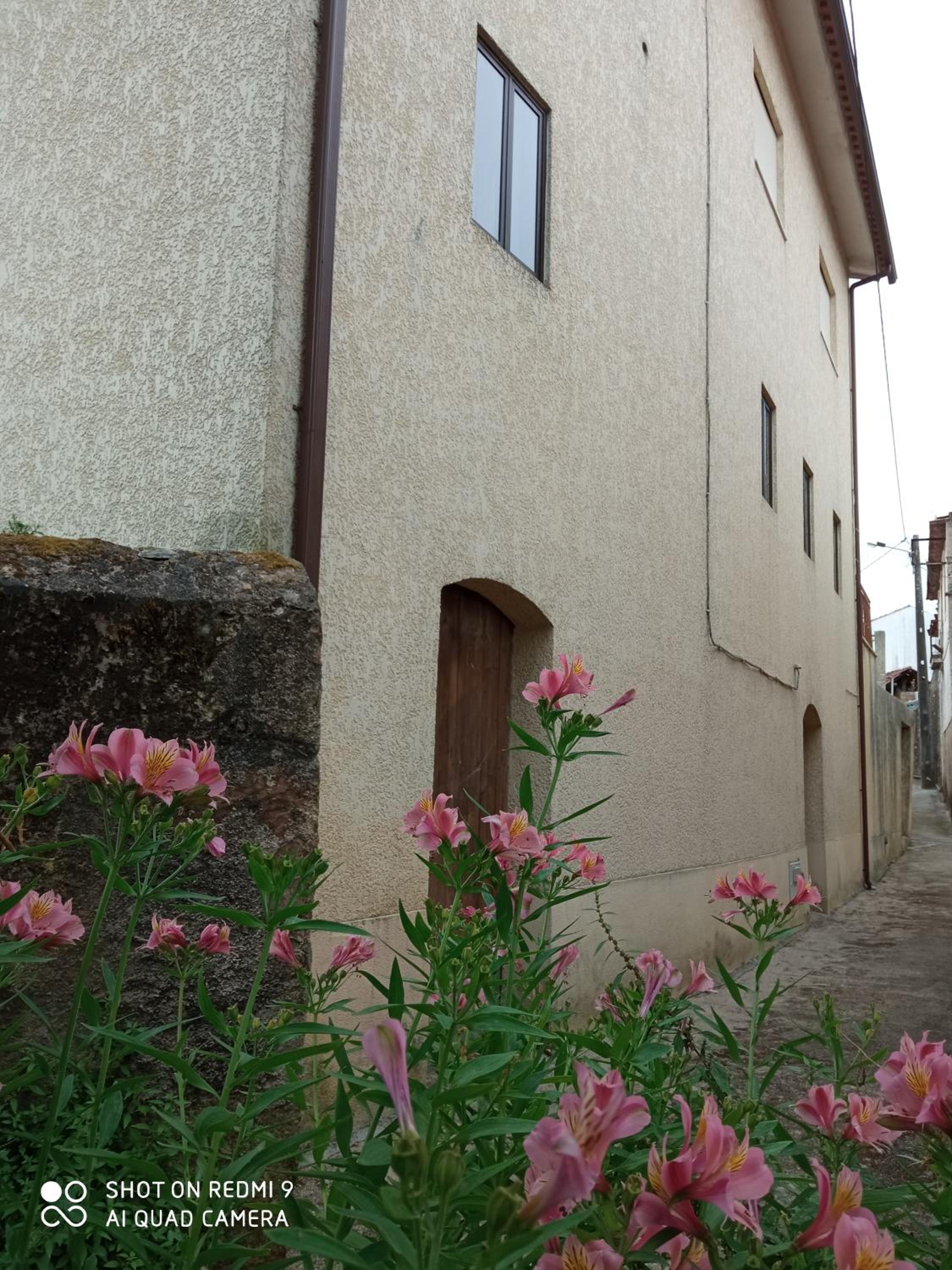 Photo 33