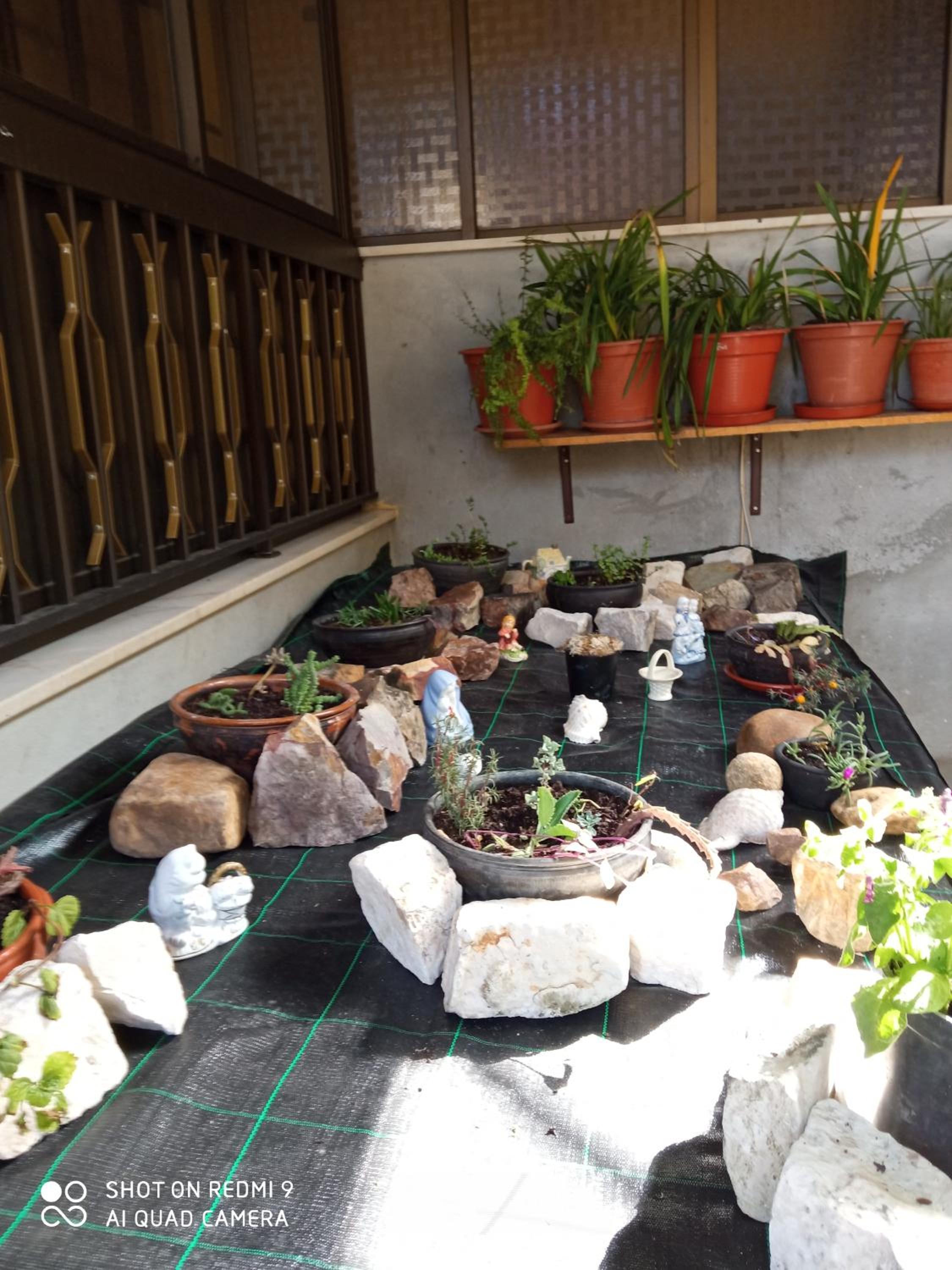 Photo 44