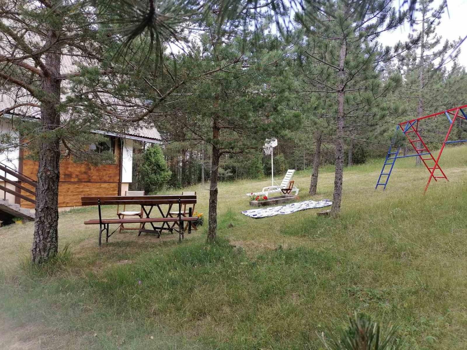 Photo 17