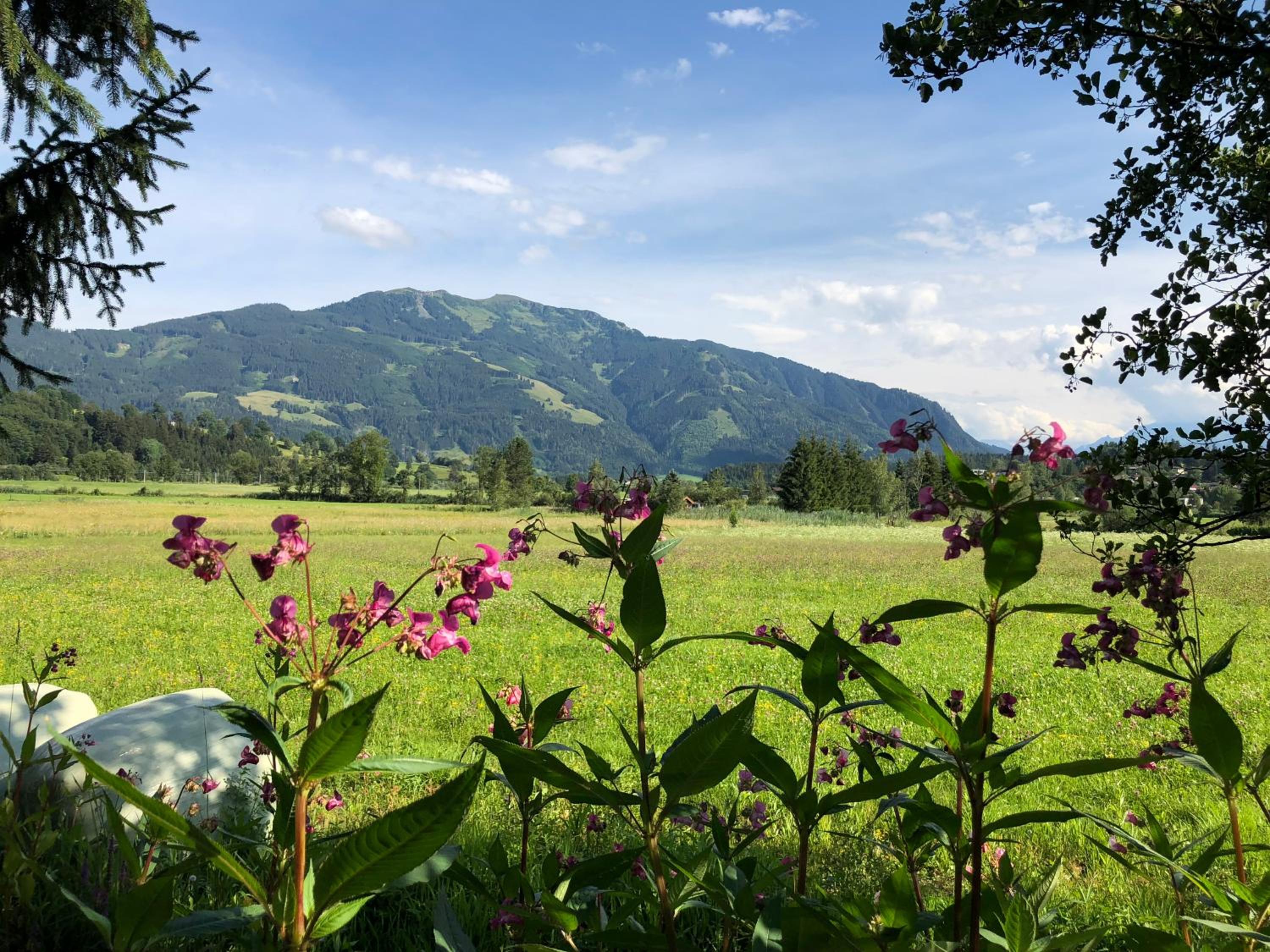 Pension Erlhof