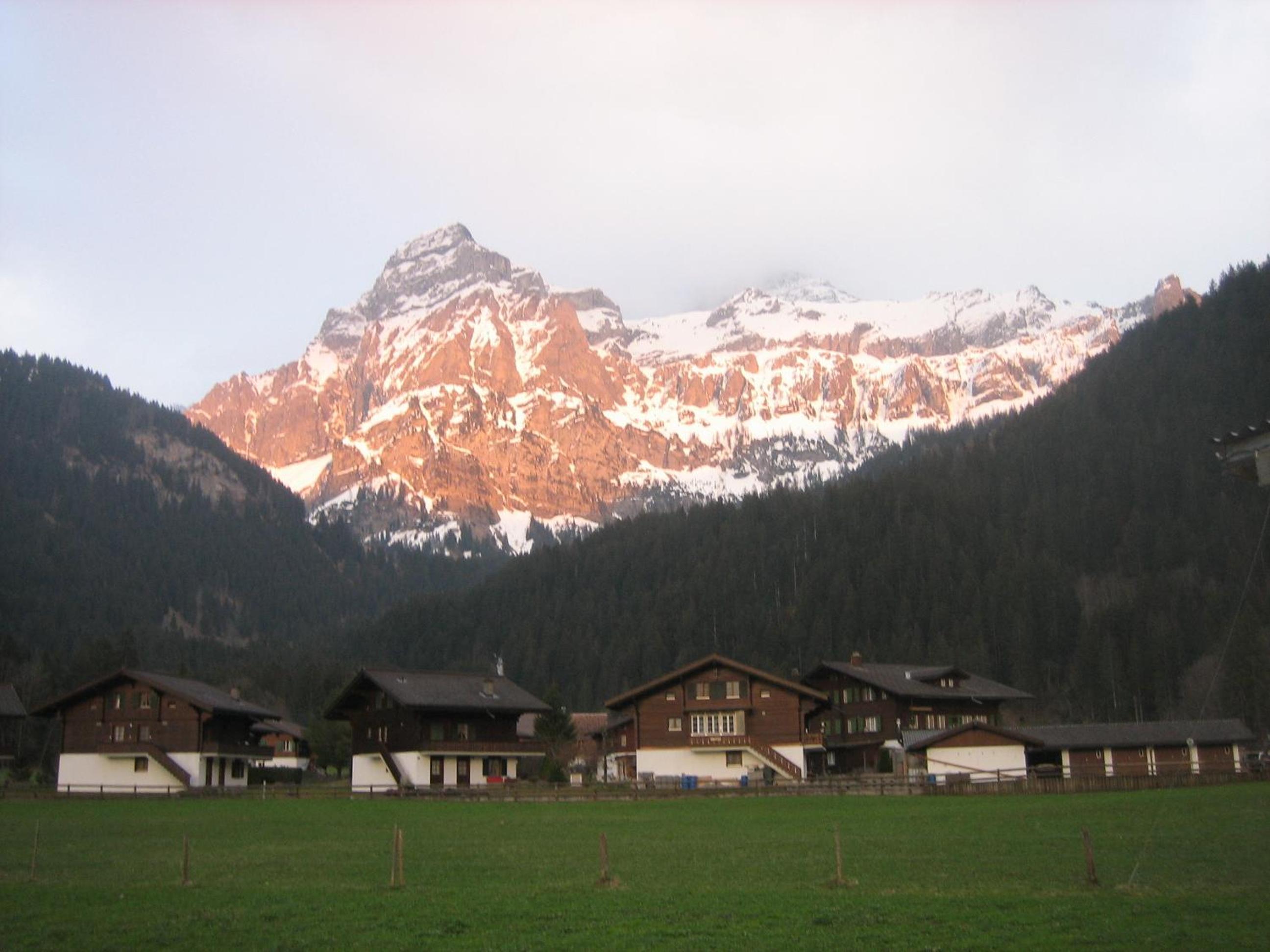 Photo 19
