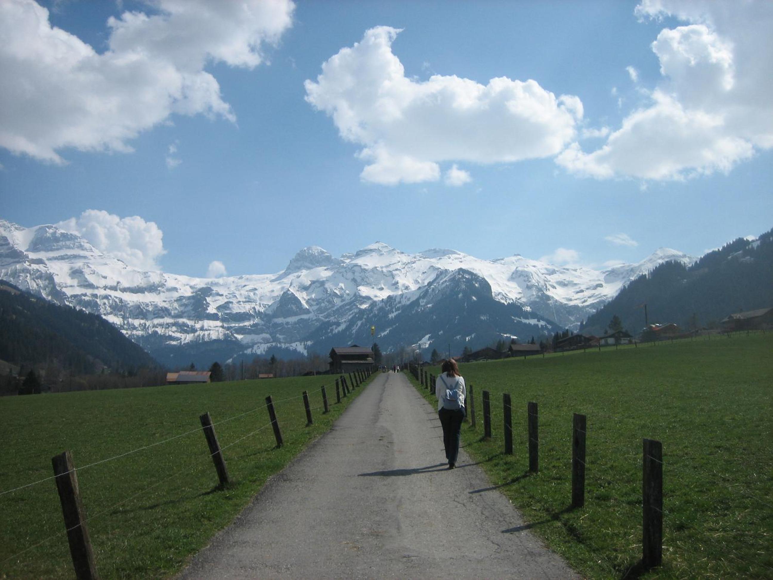 Photo 42