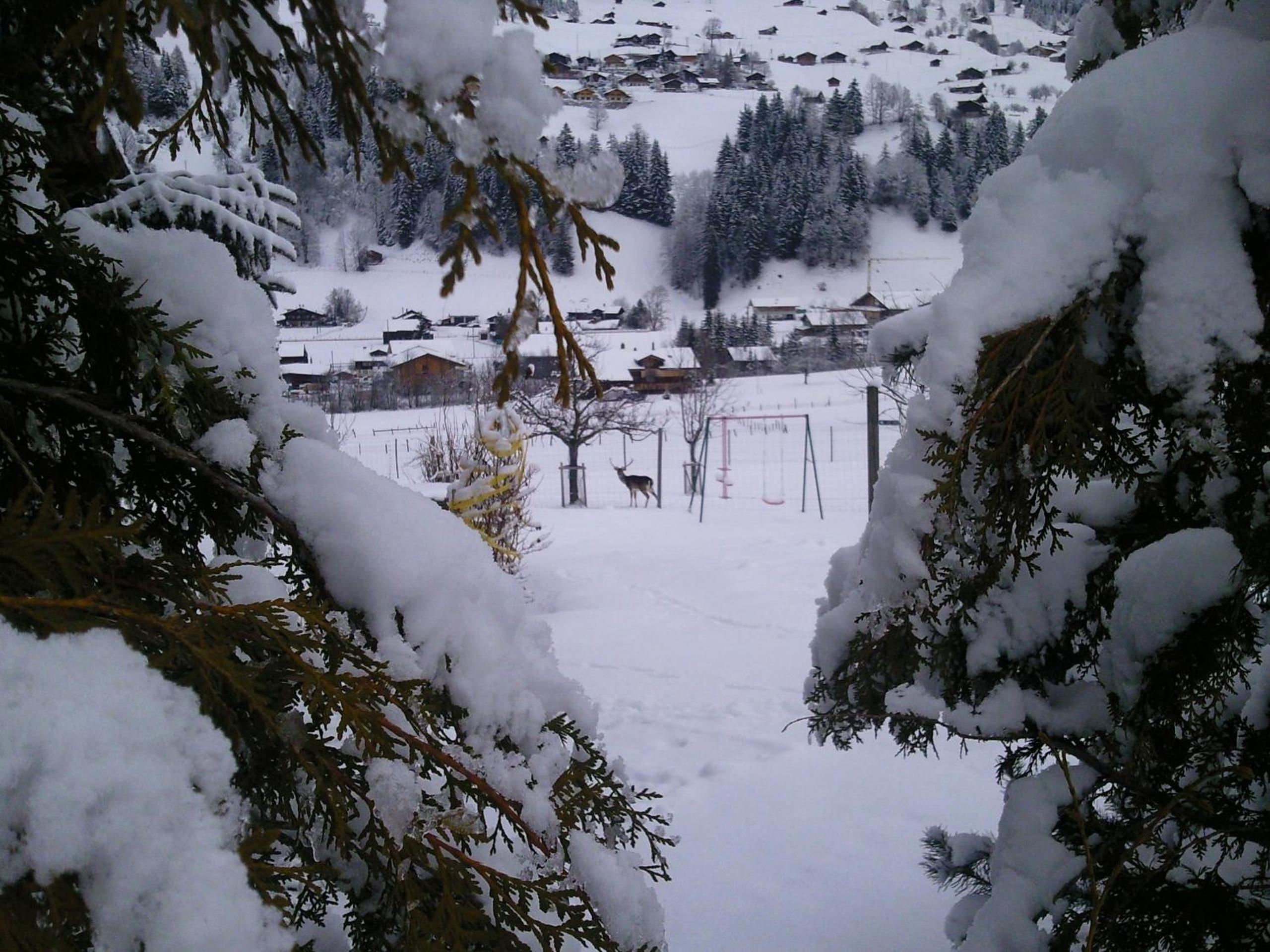Photo 40