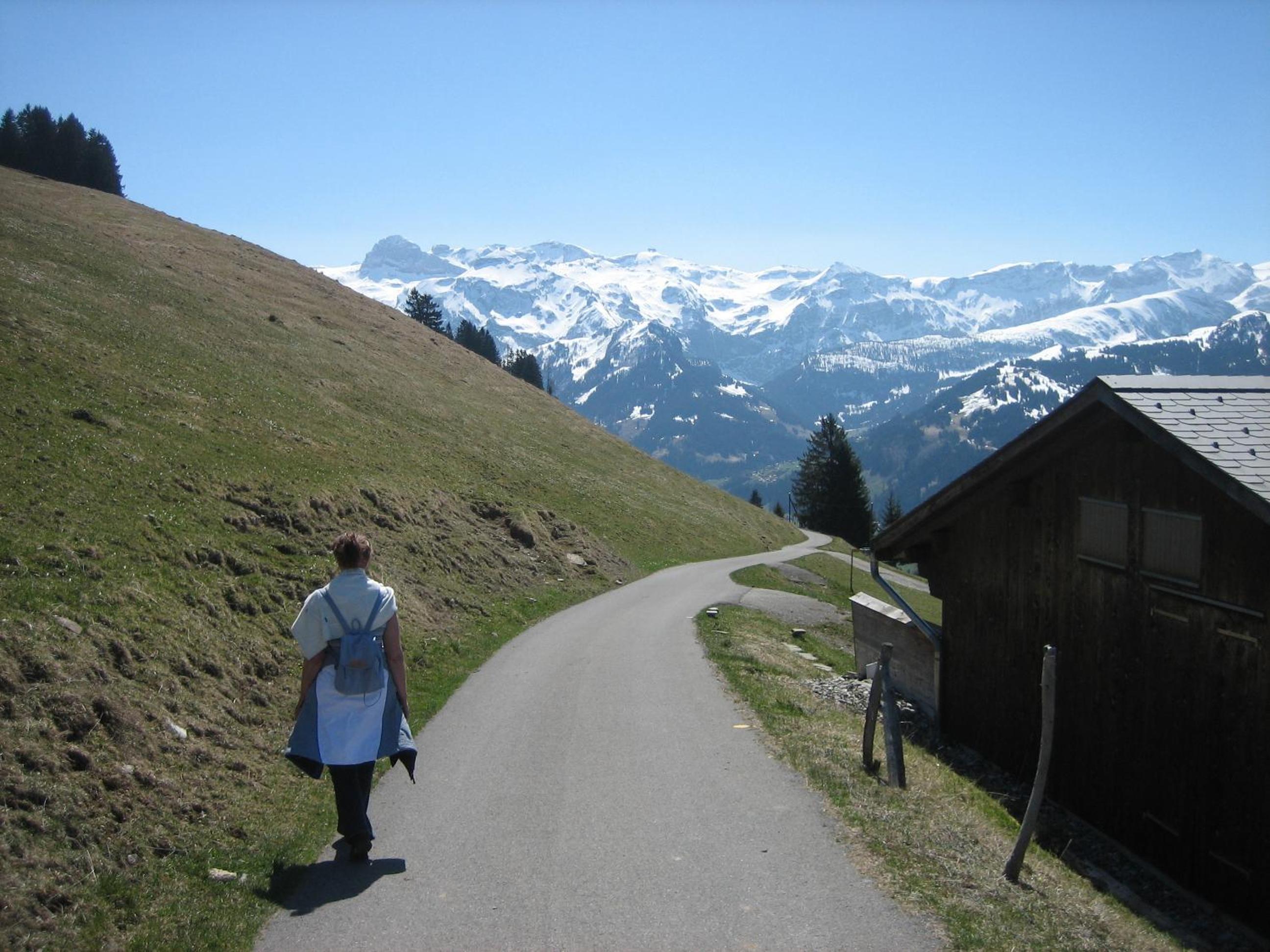 Photo 44